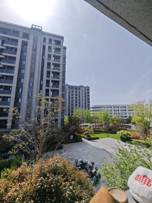 杭州 西湖 | 德信九溪云庄-19号楼_8