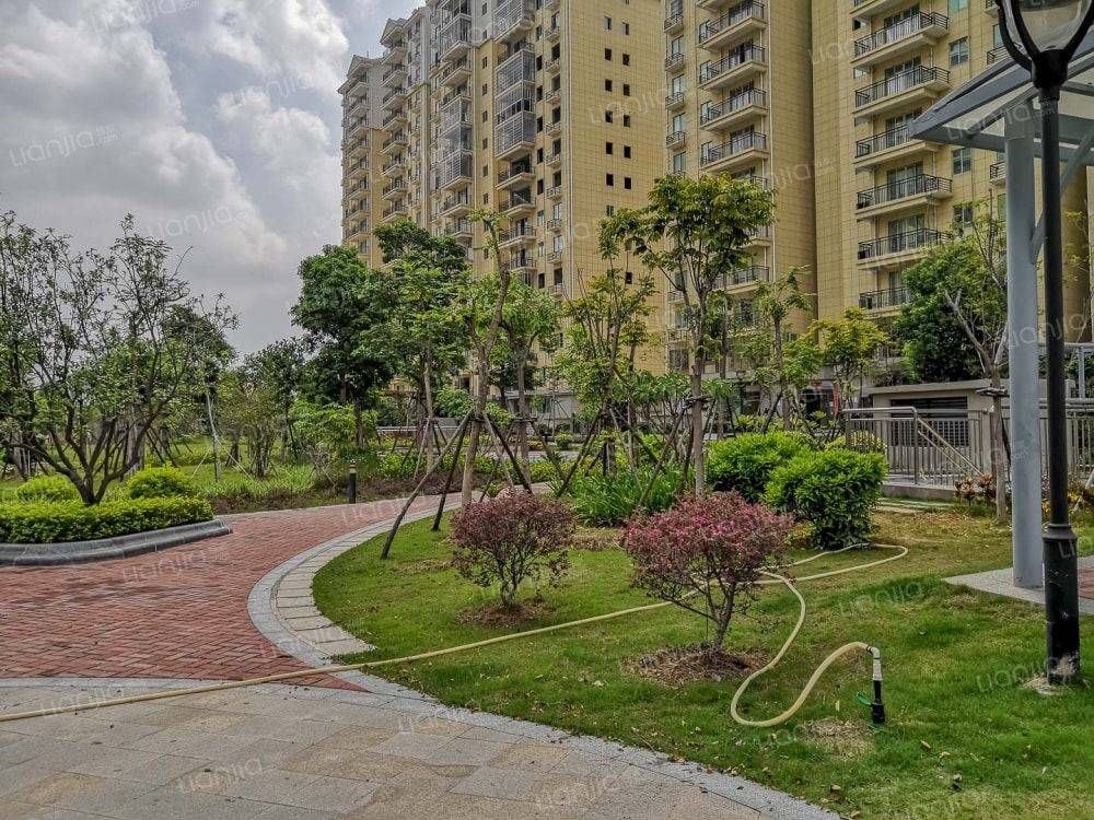 湖里 金卿家园小区