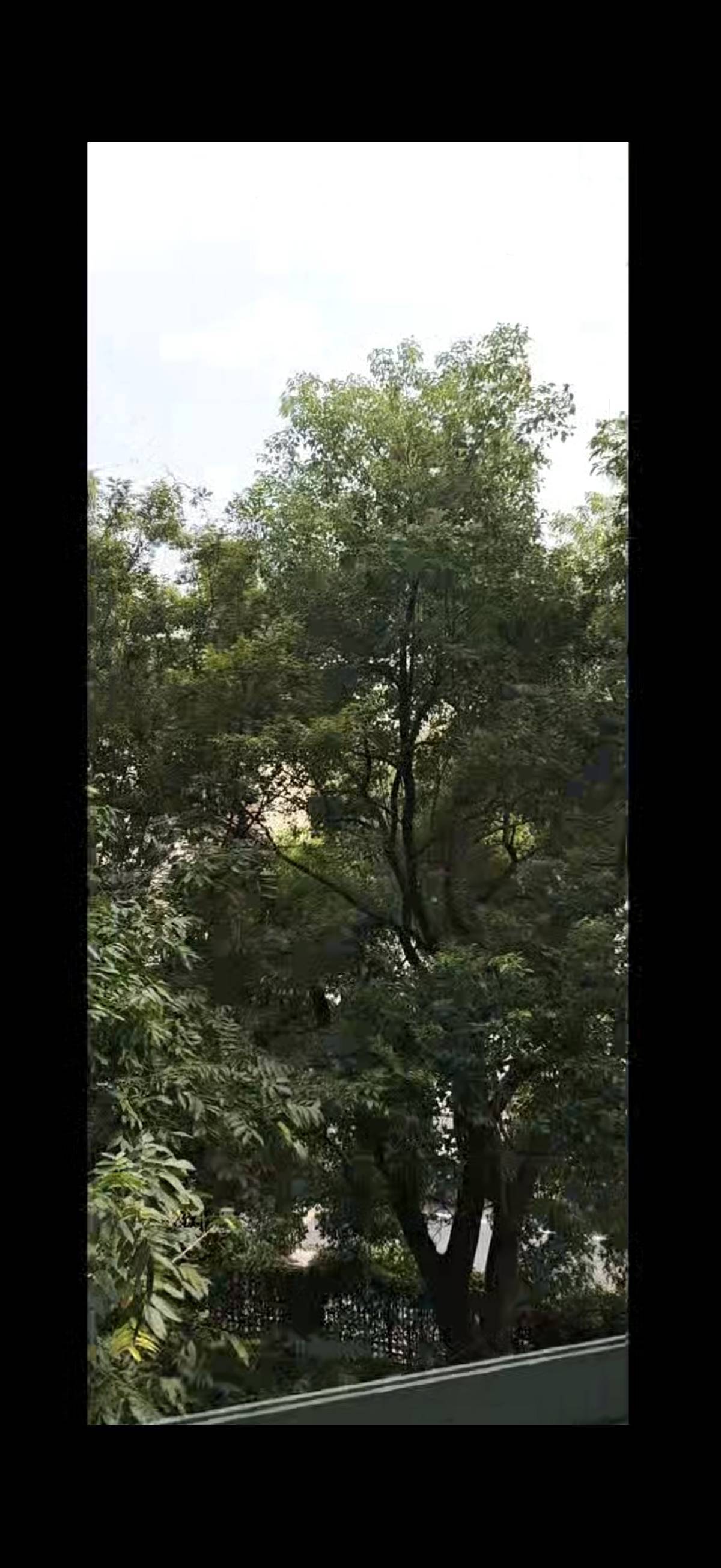 杭州 上城 | 红街公寓-10幢_5