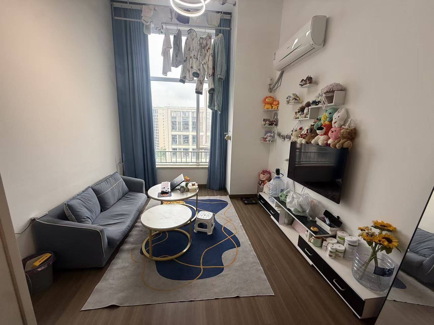 我想乖的遭不住😊整租房源1