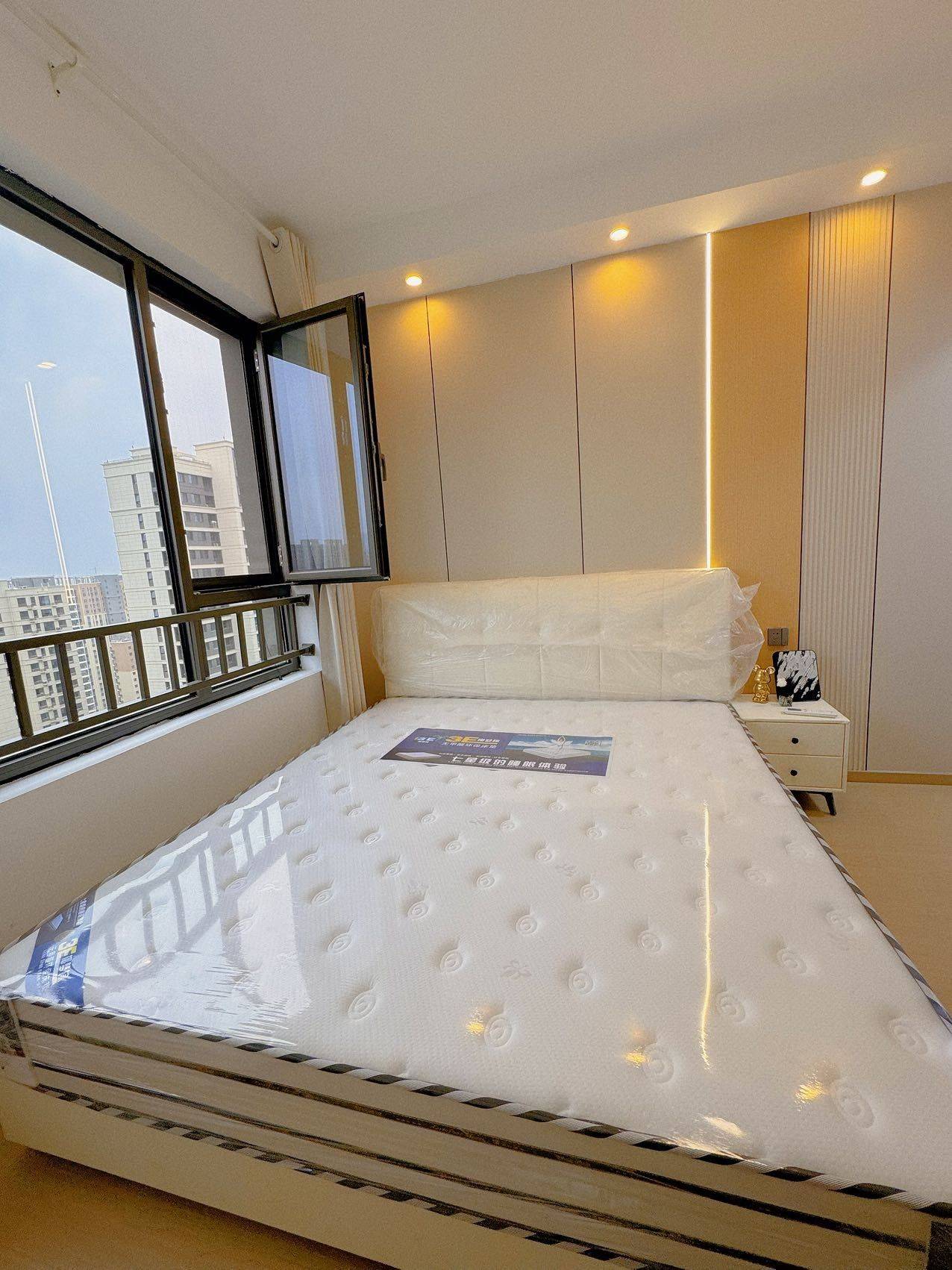 忘忧草整租房源2