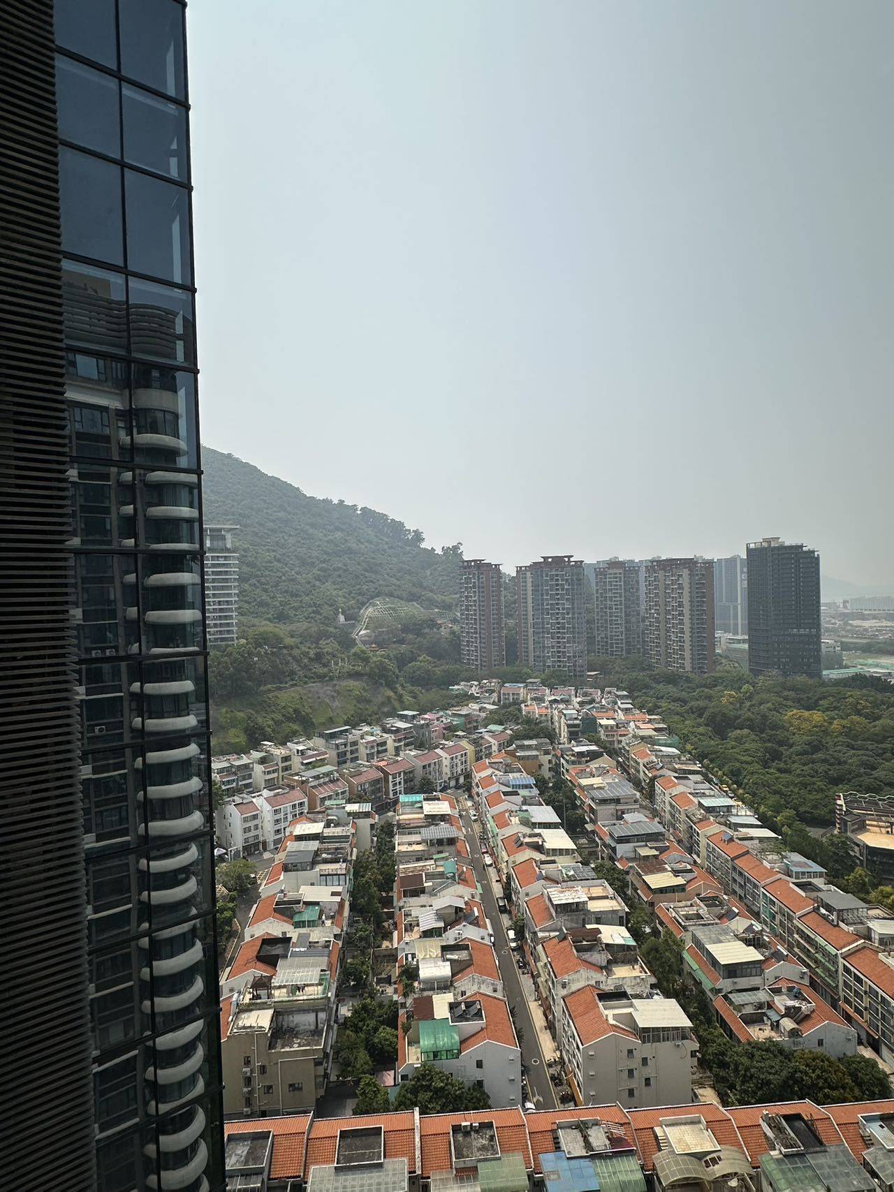 Shenzhen Nanshan | 掬月半山-1号楼_3
