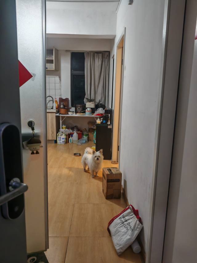 樱桃小肚子整租房源3