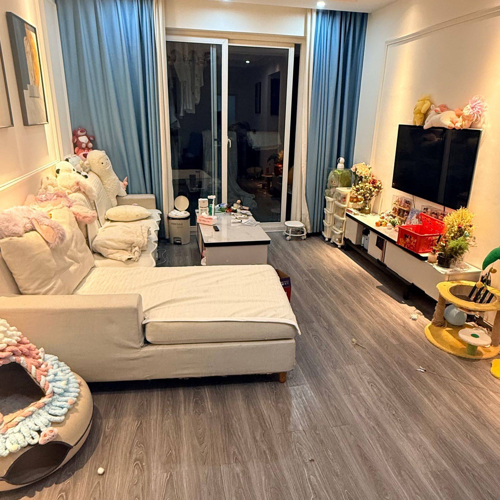 成华 锦东河韵C区-2栋