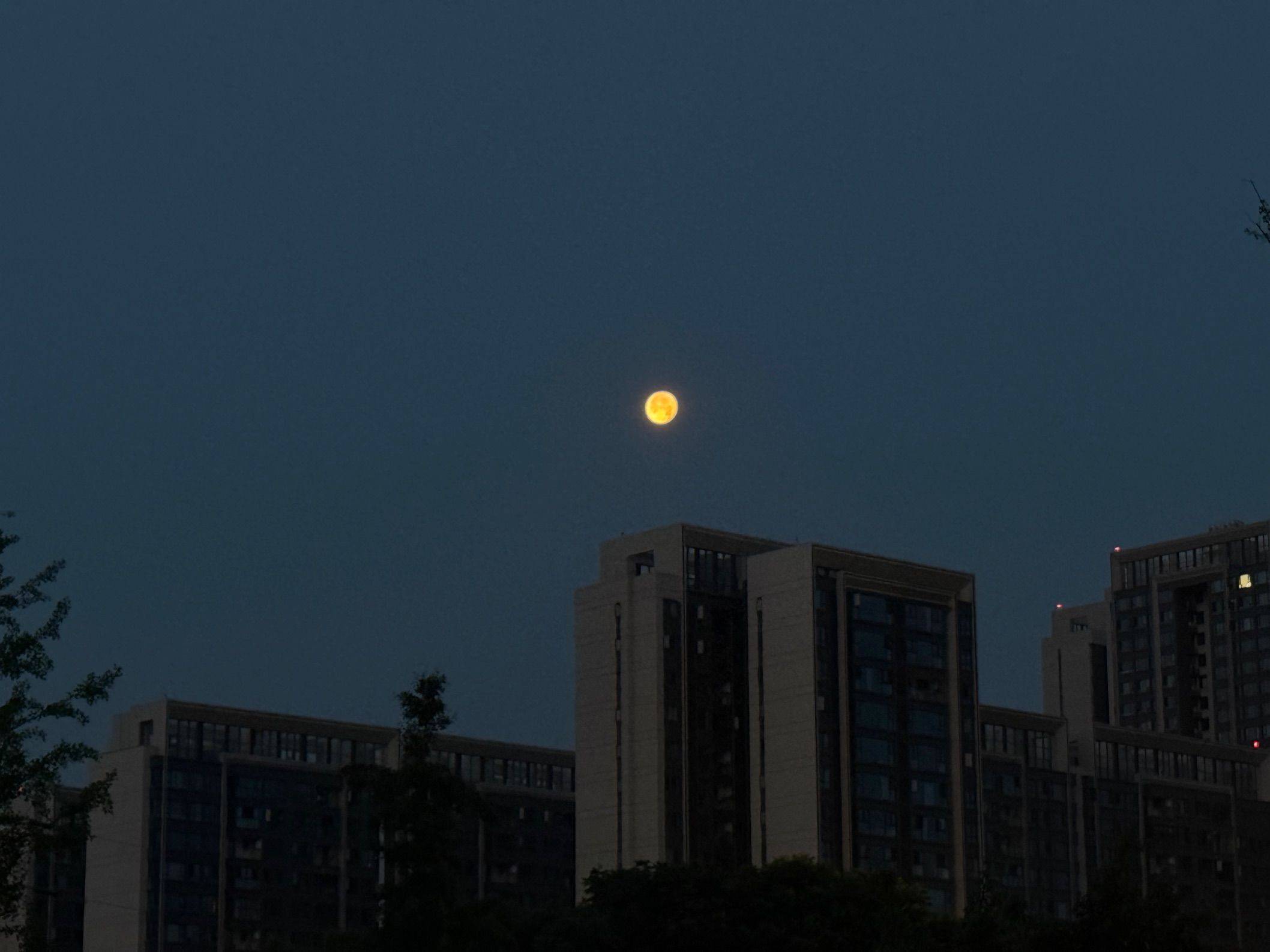 阿巴阿巴整租房源3