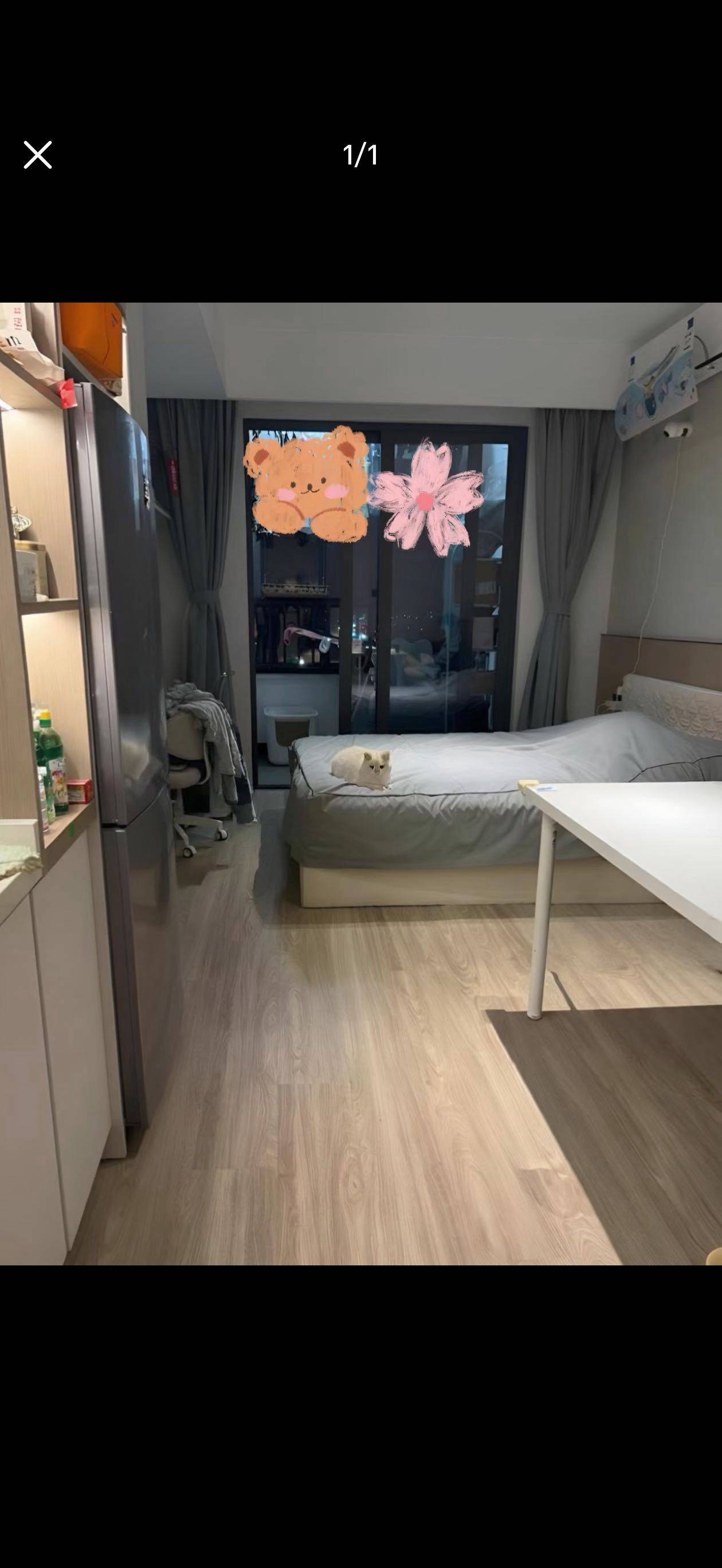 Not Your Rose整租房源1