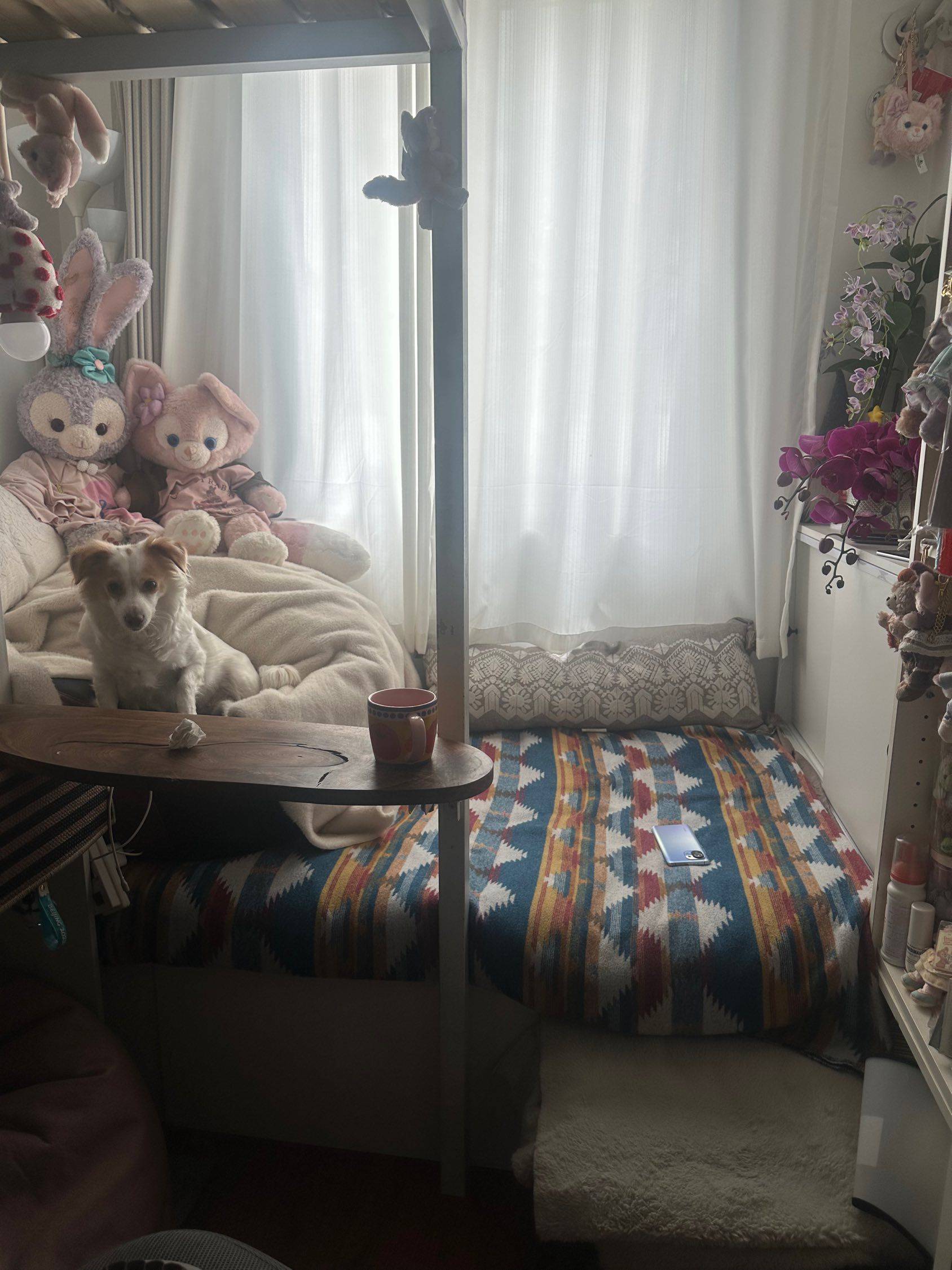 布丁大人整租房源2