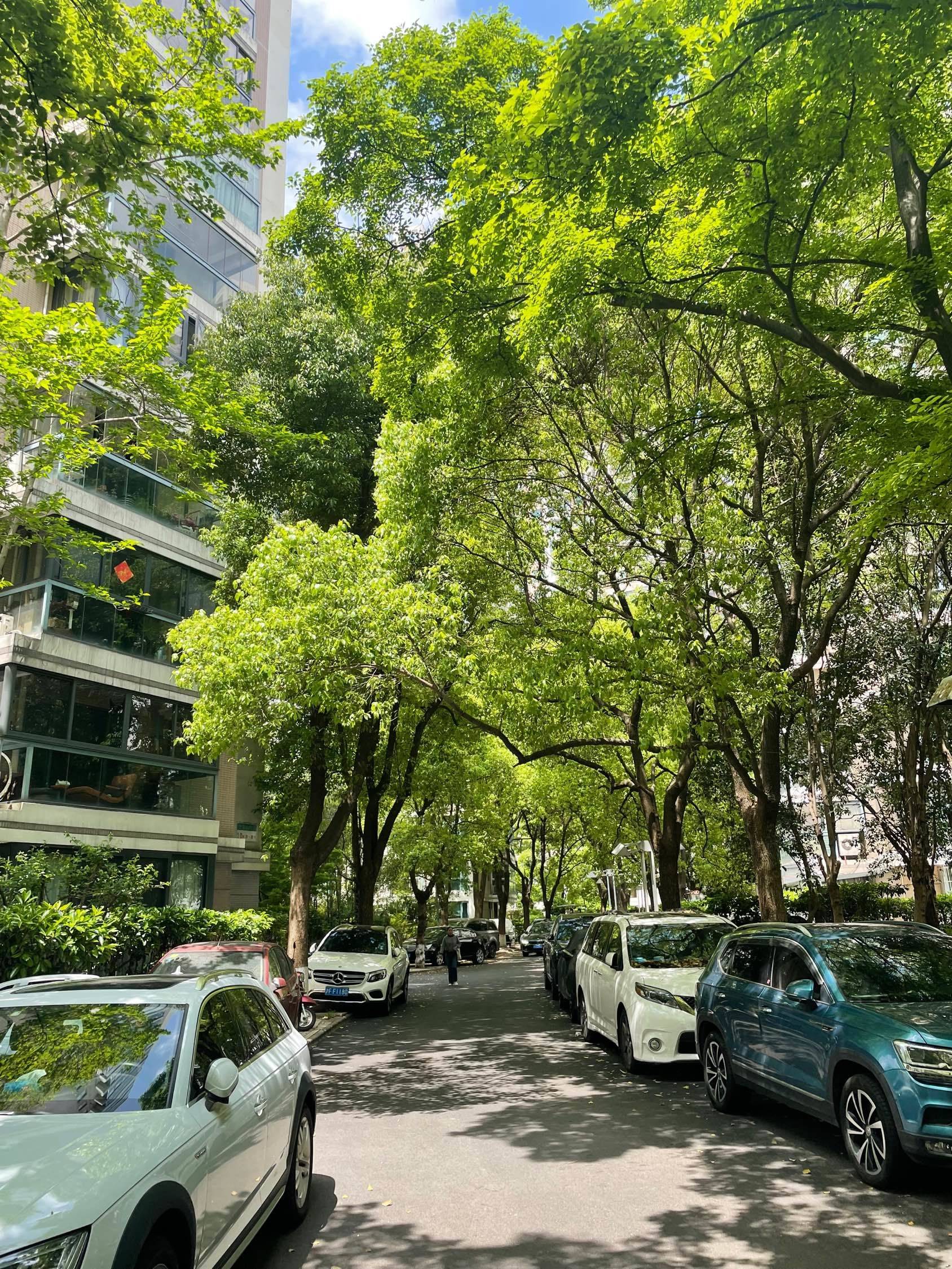 上海 普陀 | 绿地世纪城-1期_5