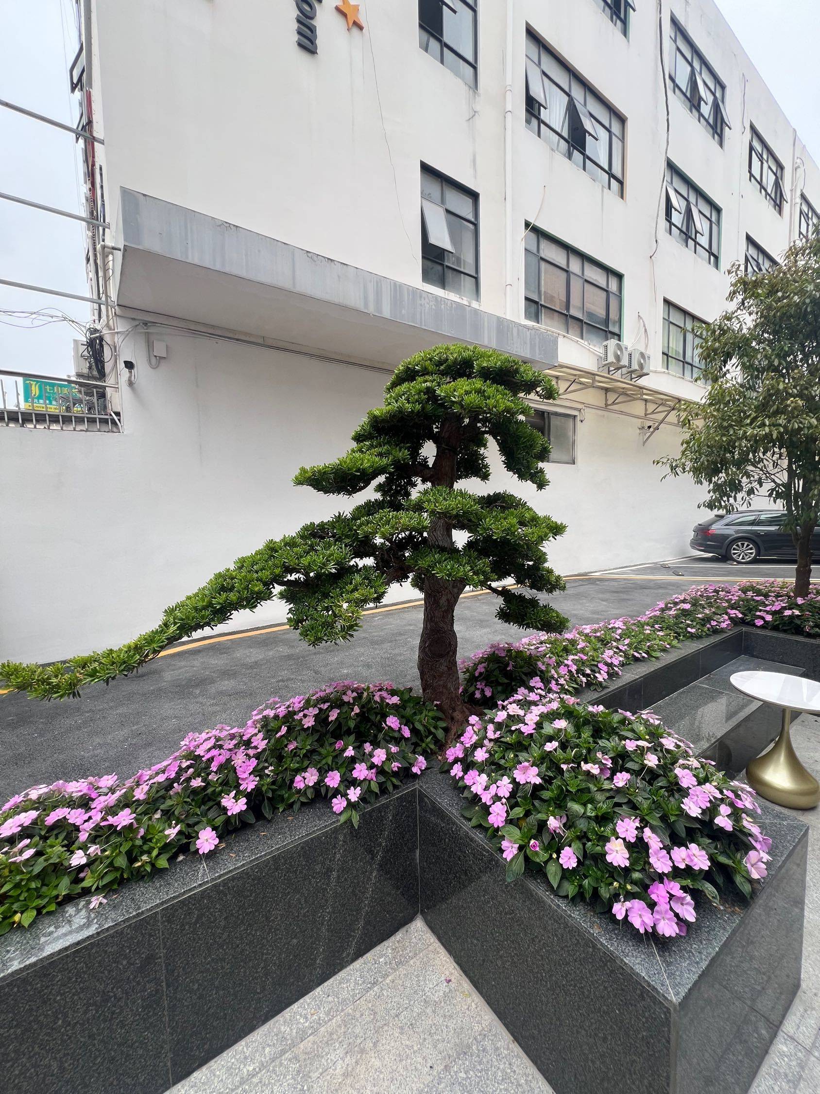 深圳 宝安 | 轻铁西花园_7