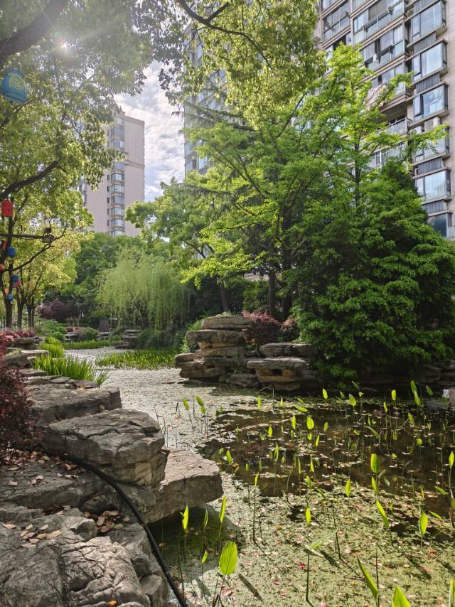 上海 宝山 | 宝宸怡景园_7