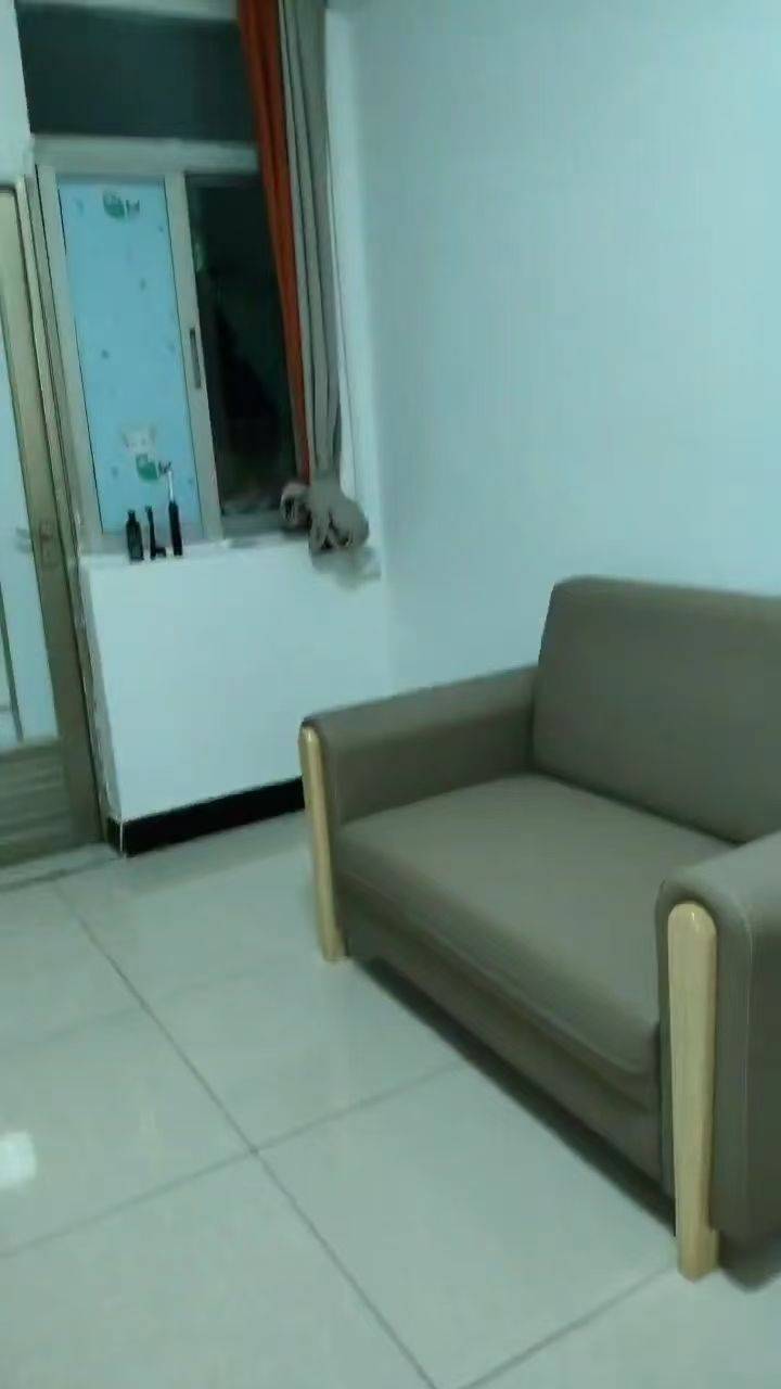 深圳 龙岗 | 巧姐公寓_3