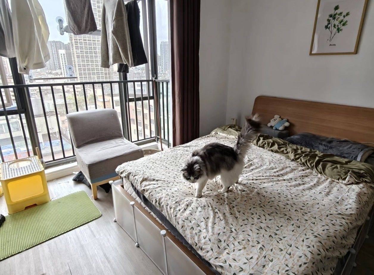 成都 金牛 | 西锦国际广场-二期_3