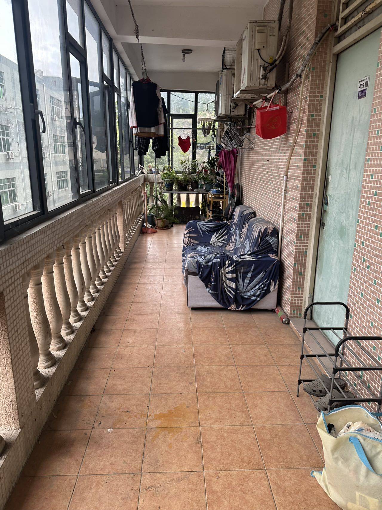 深圳 南山 | 红花岭_3