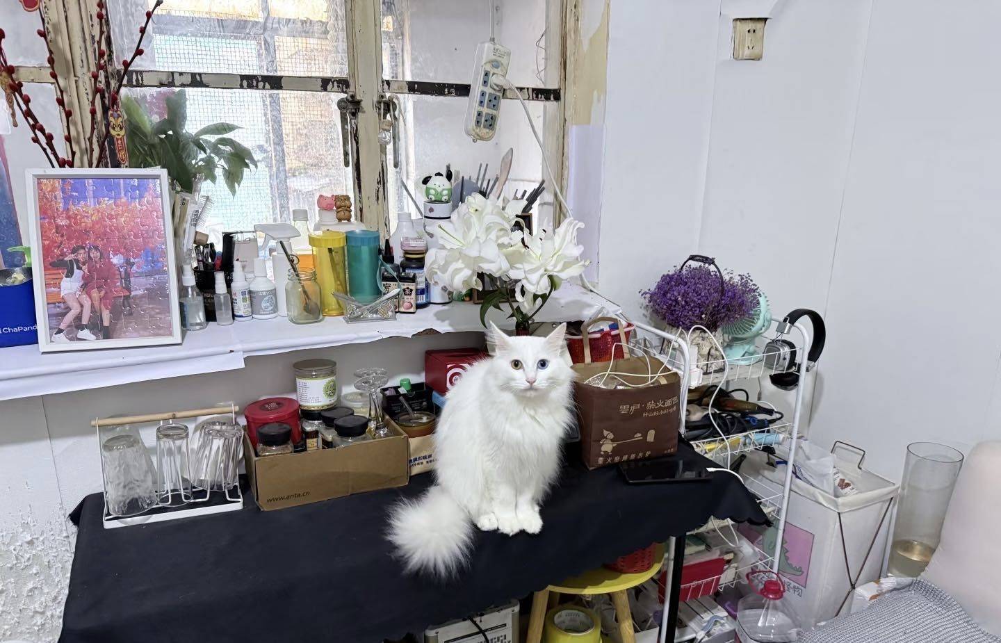 昆明 西山 | 云南机械设备厂职工宿舍_7