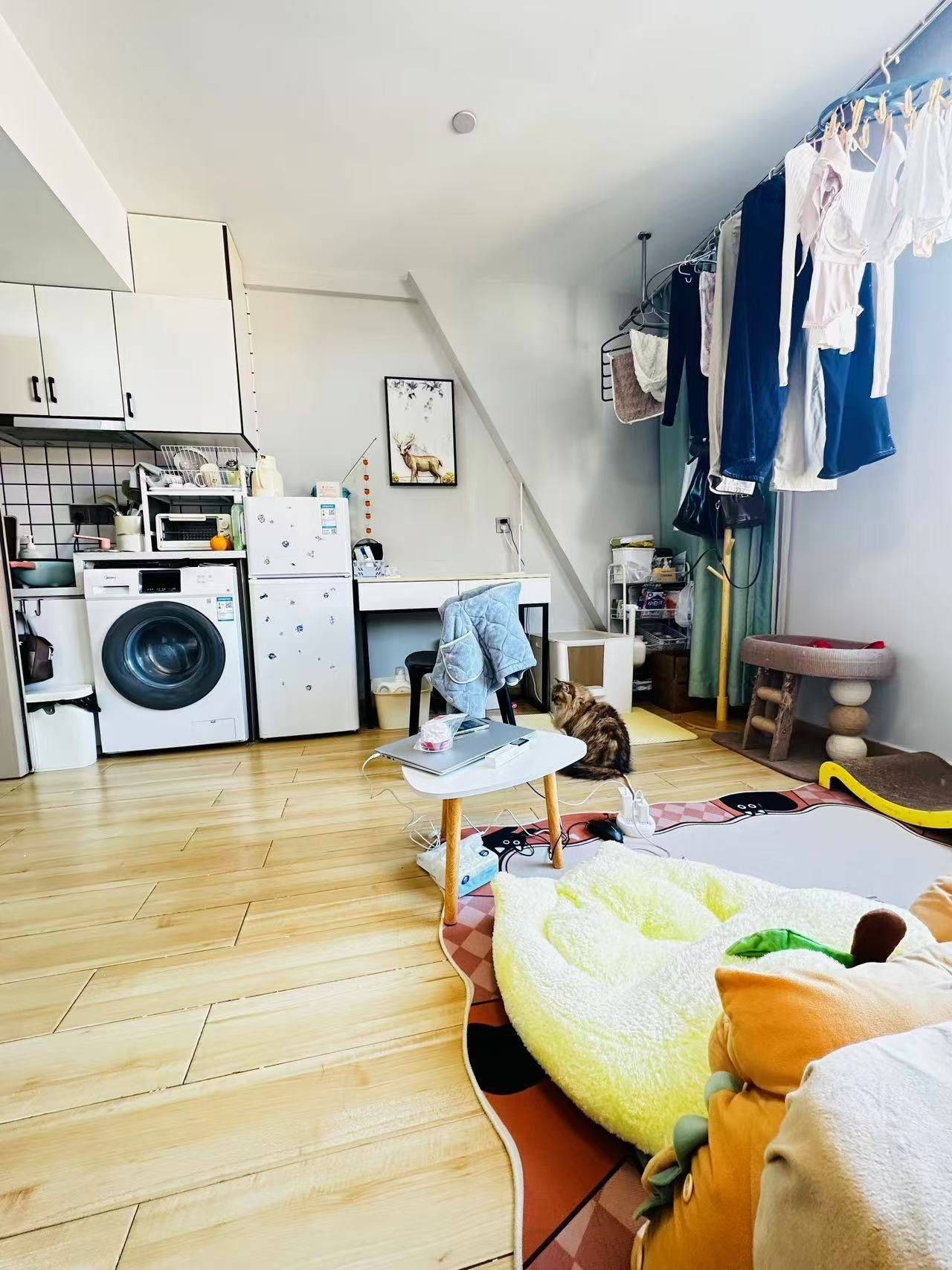 自由的小杨整租房源3