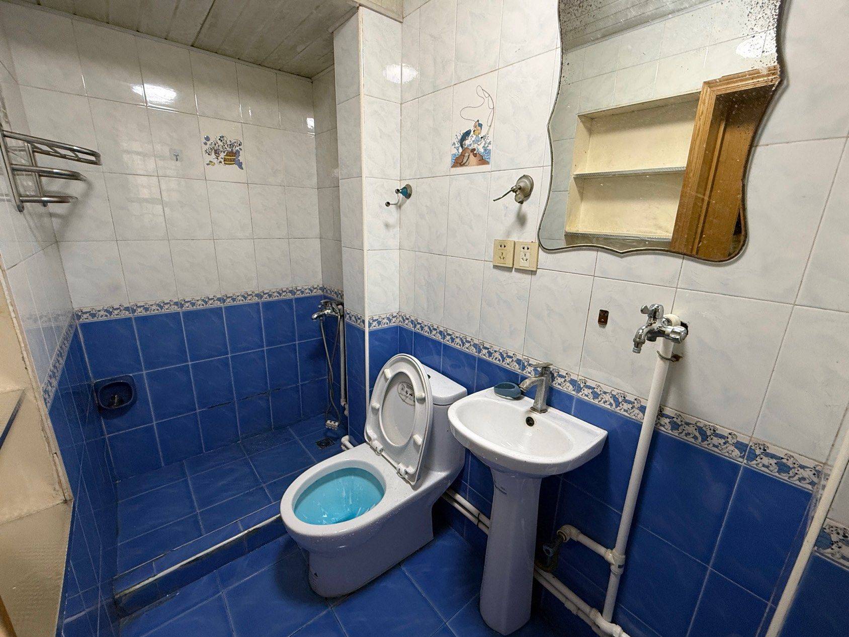 上海 浦东 | 金旋小区_5