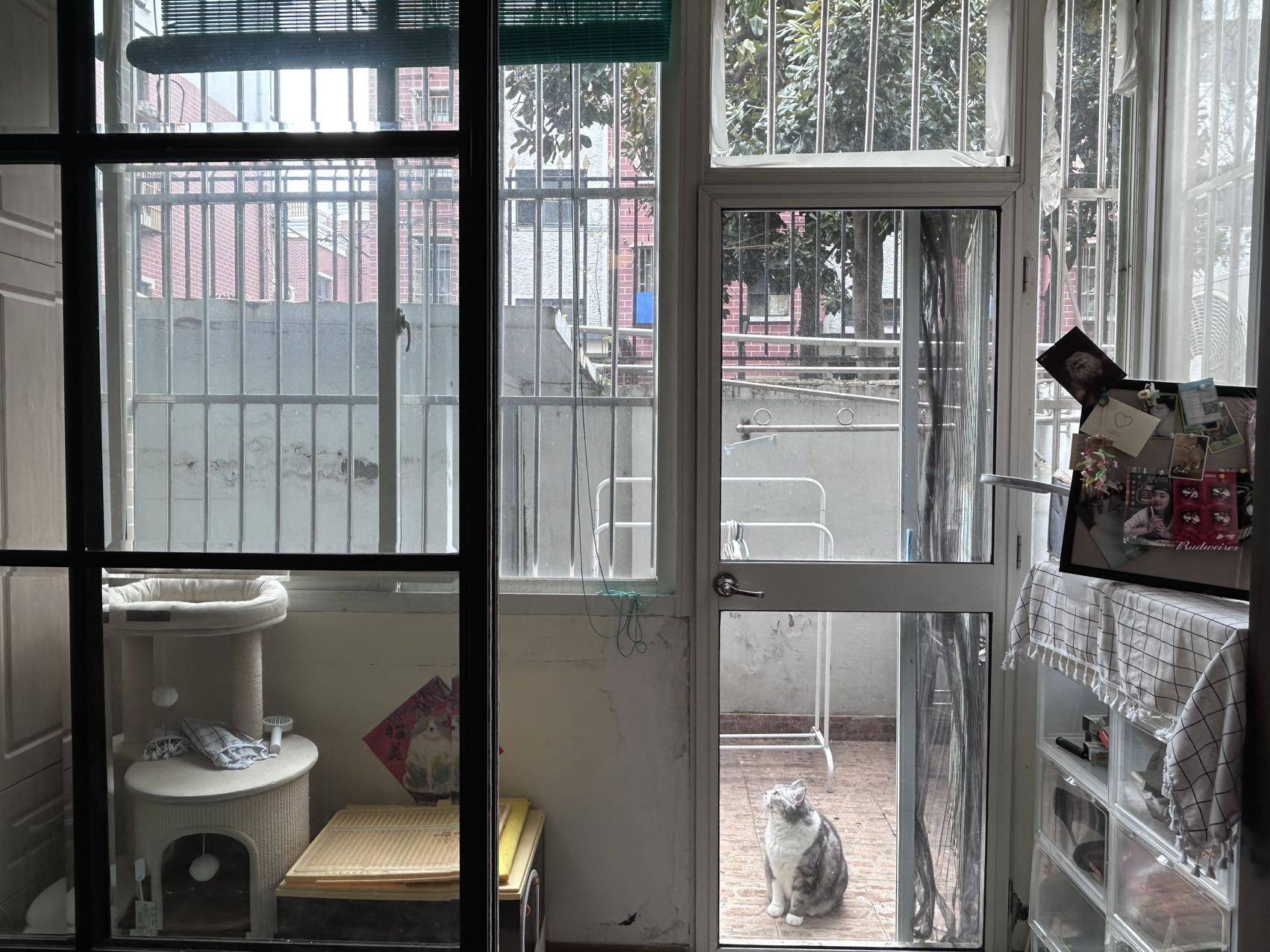 Shanghai Hongkou | 运光路105弄小区_5