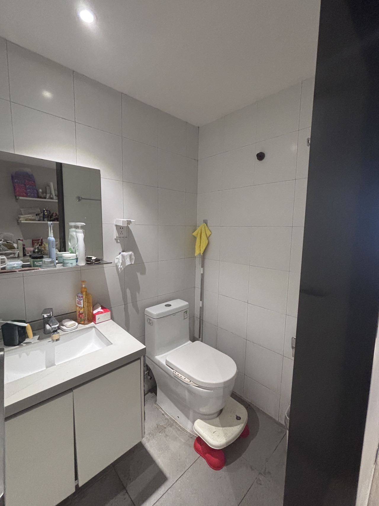 delancy-pjj整租房源2