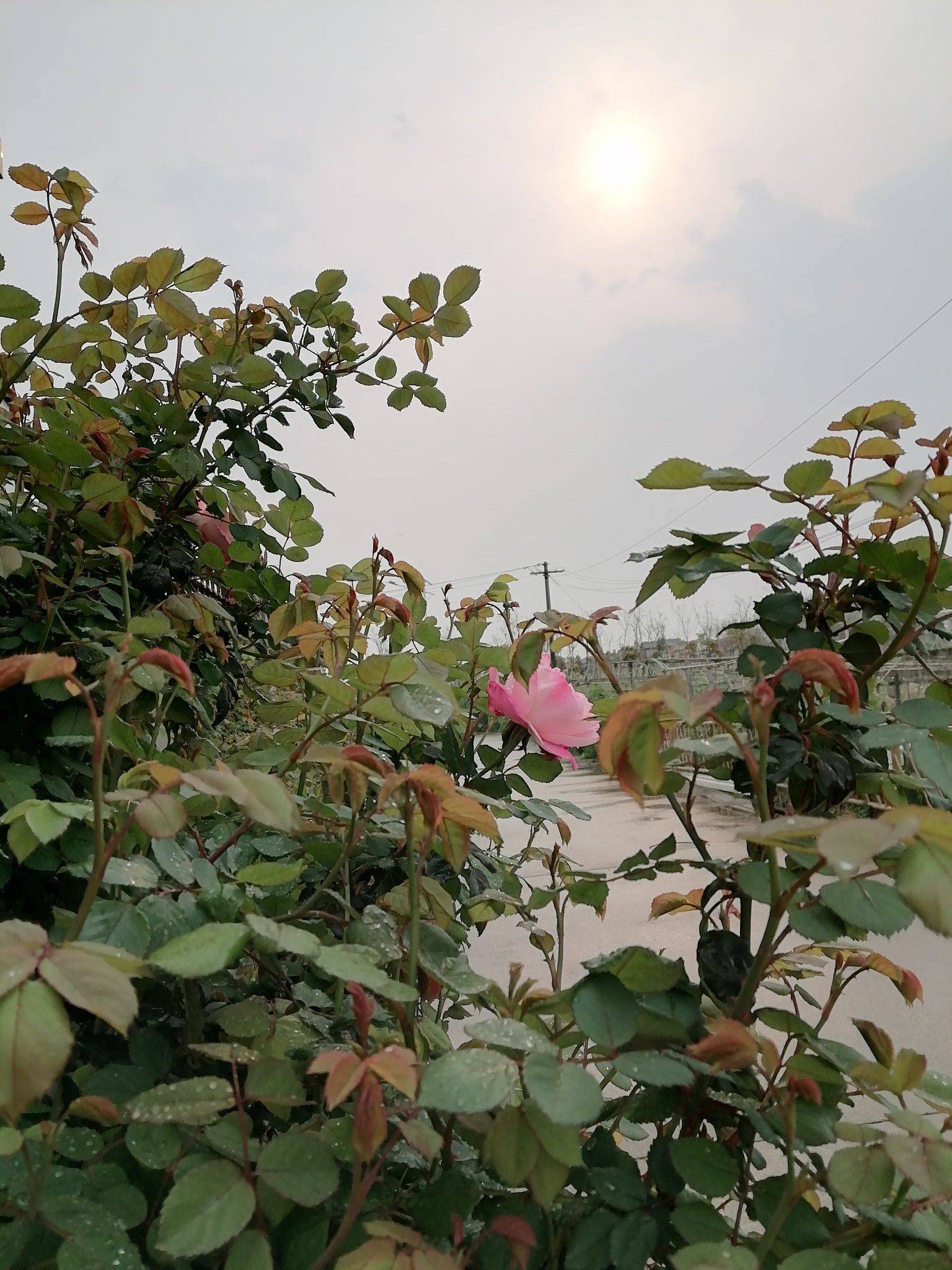 上海 浦东 | 凌北宅-377_3