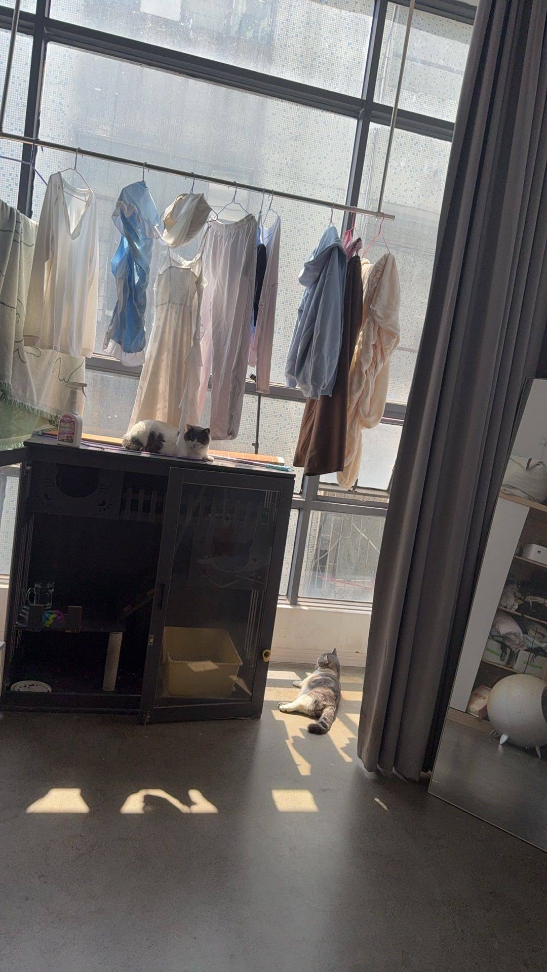 土豪姐姐整租房源1