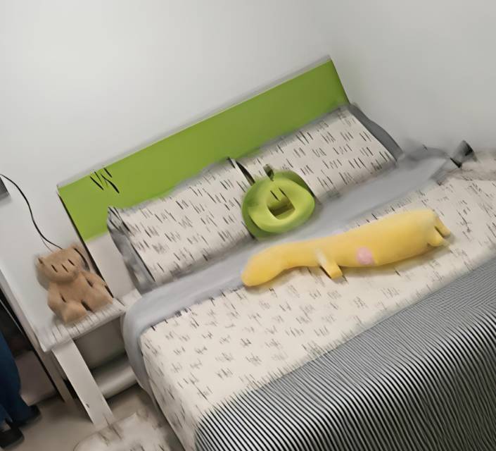 嘉嘉整租房源3