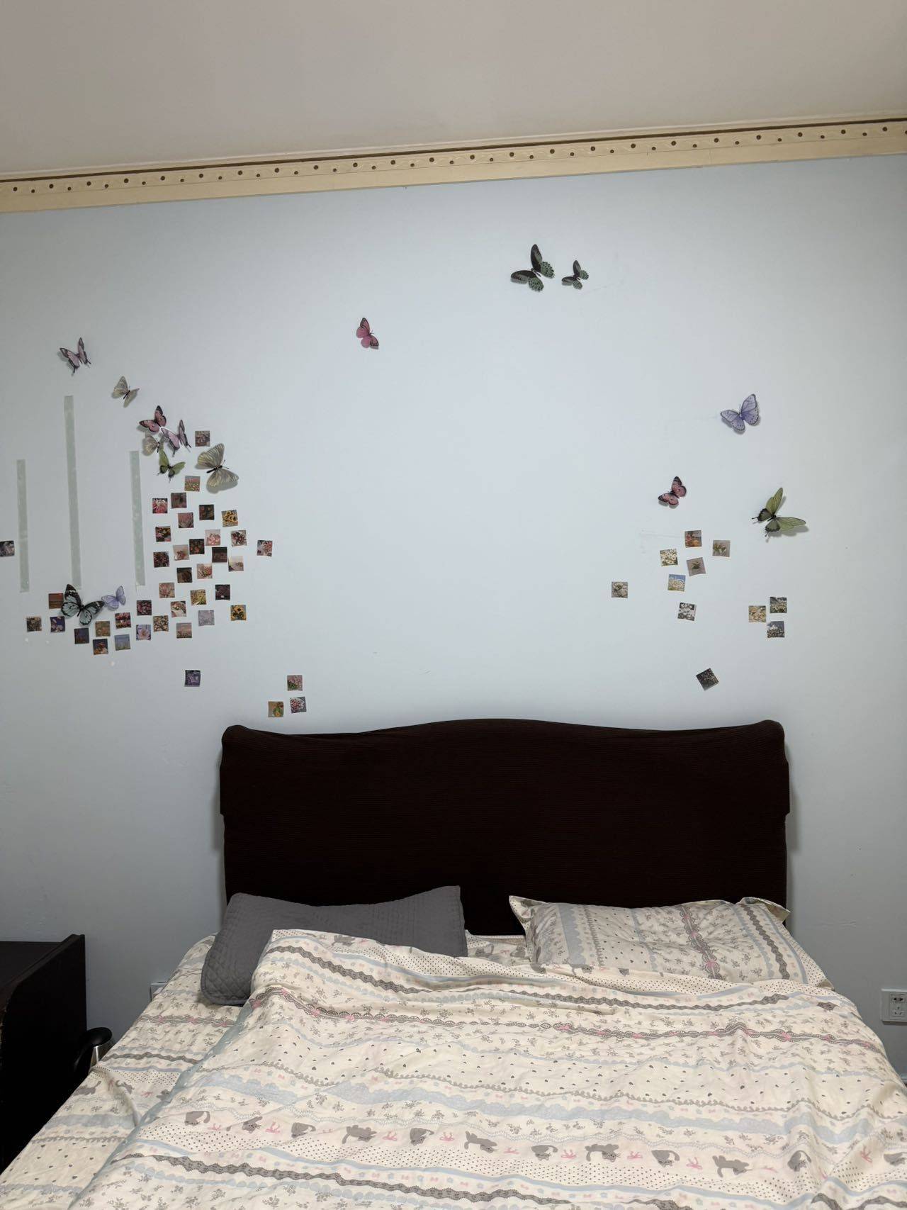 金牛 营通街53号院