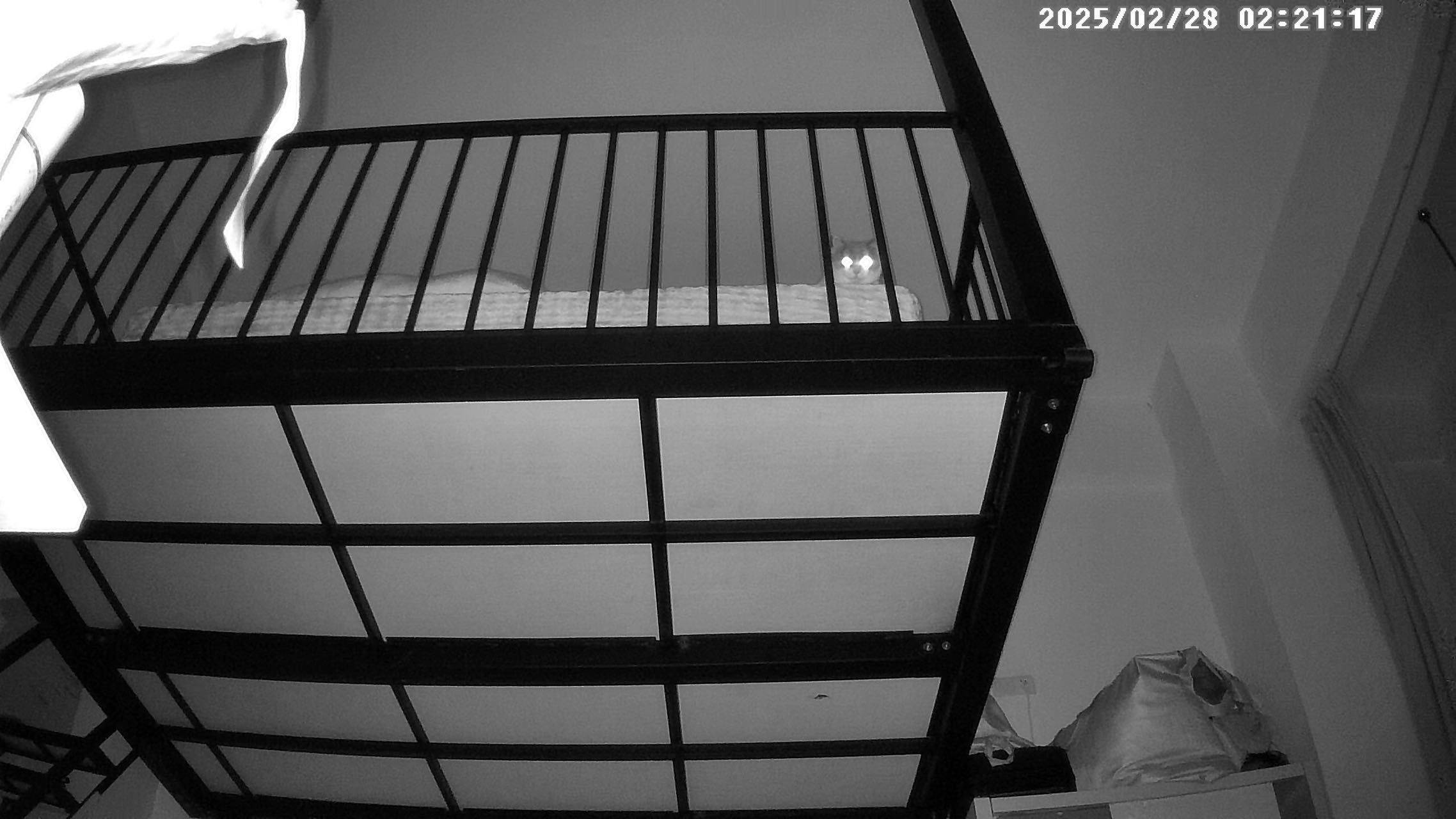 土豪姐姐整租房源2