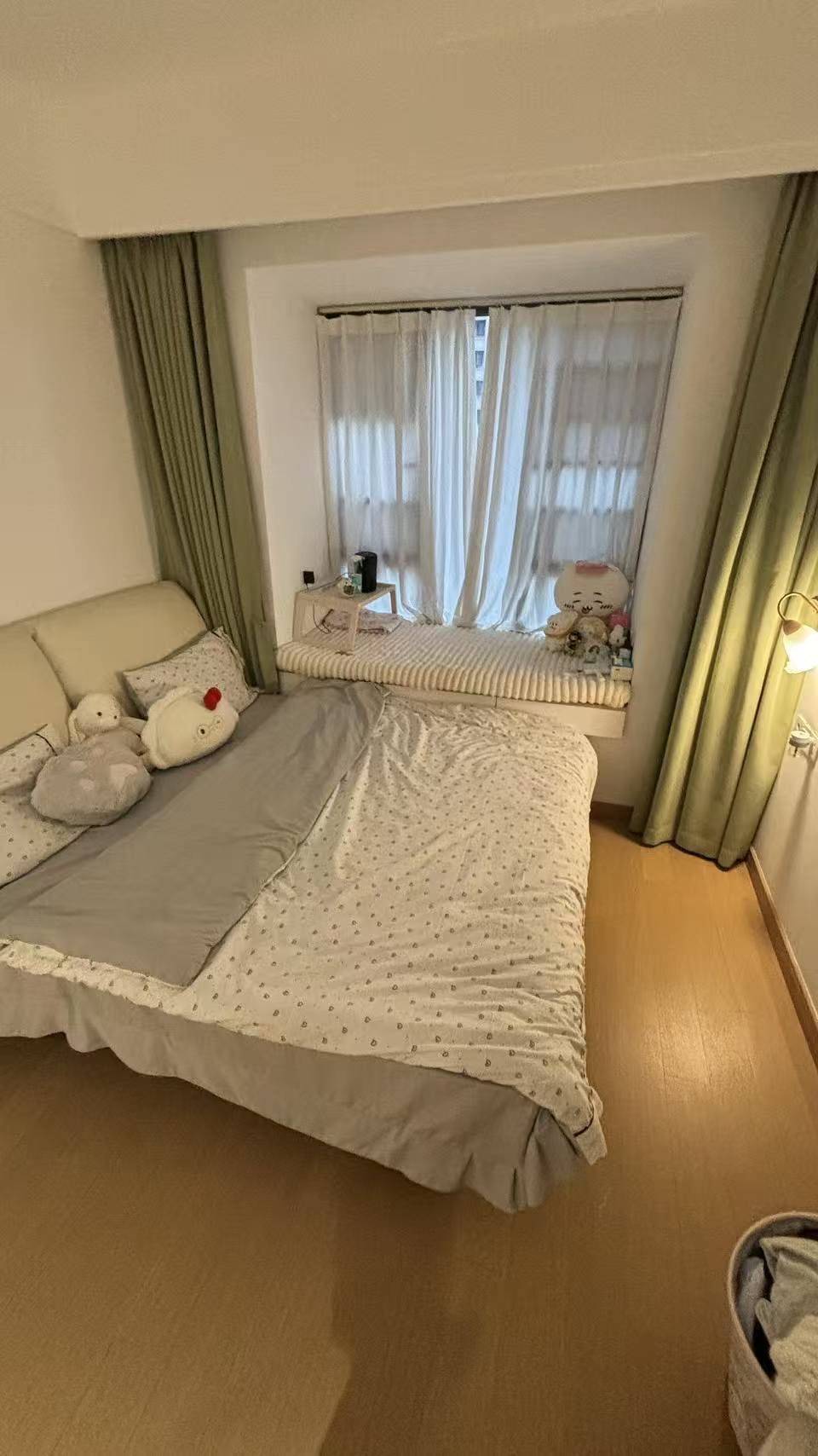 南昌县 洪大新力合悦滨江