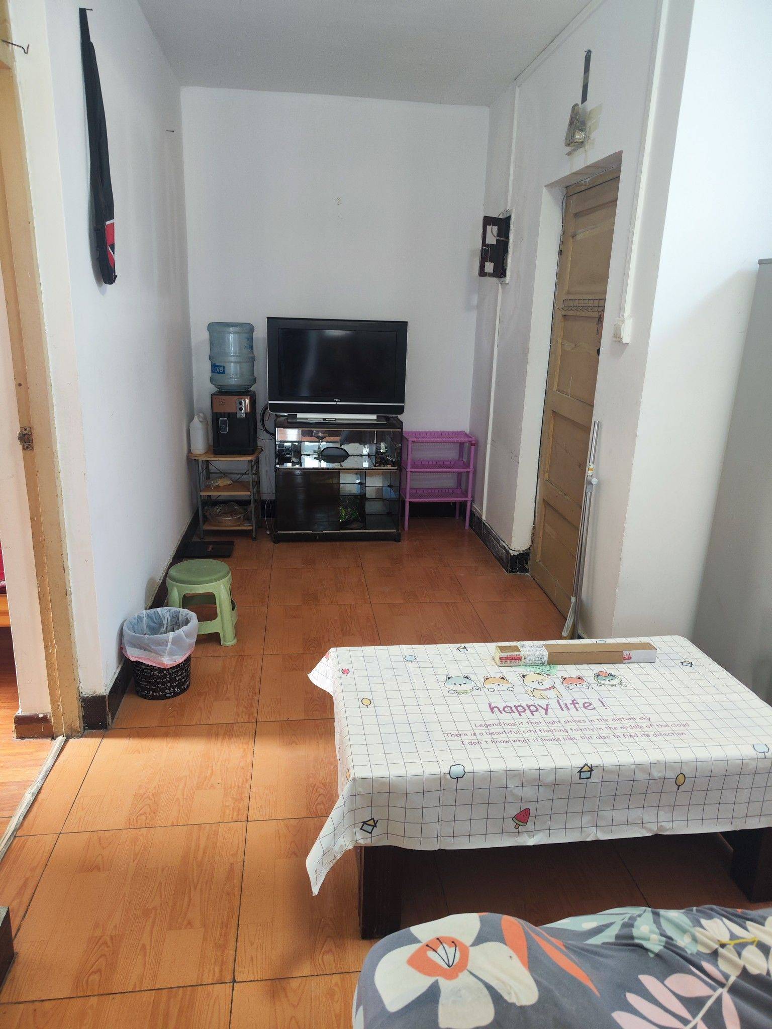 安静的很-宠物友好-市井烟火气