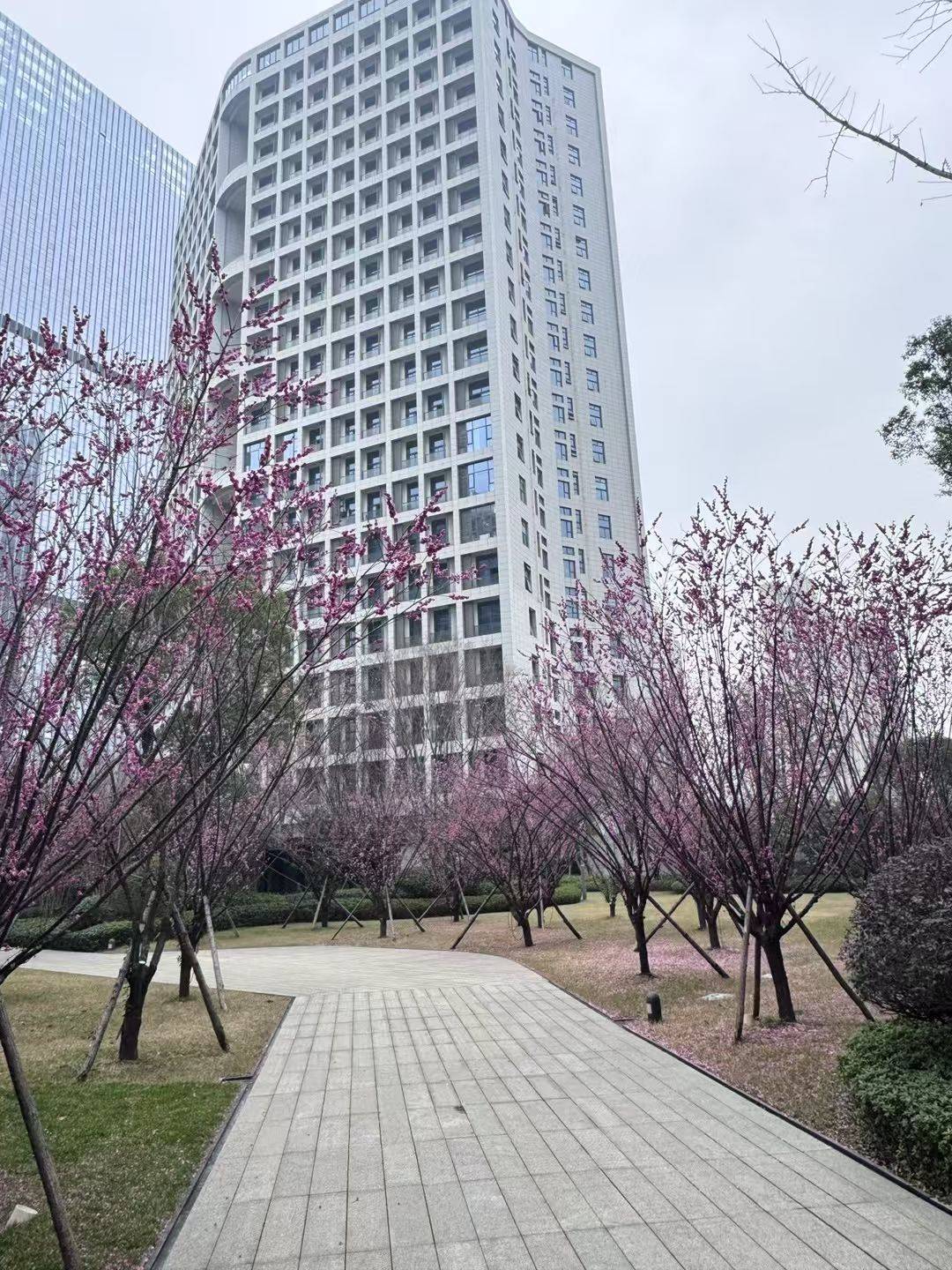 草堂整租房源3
