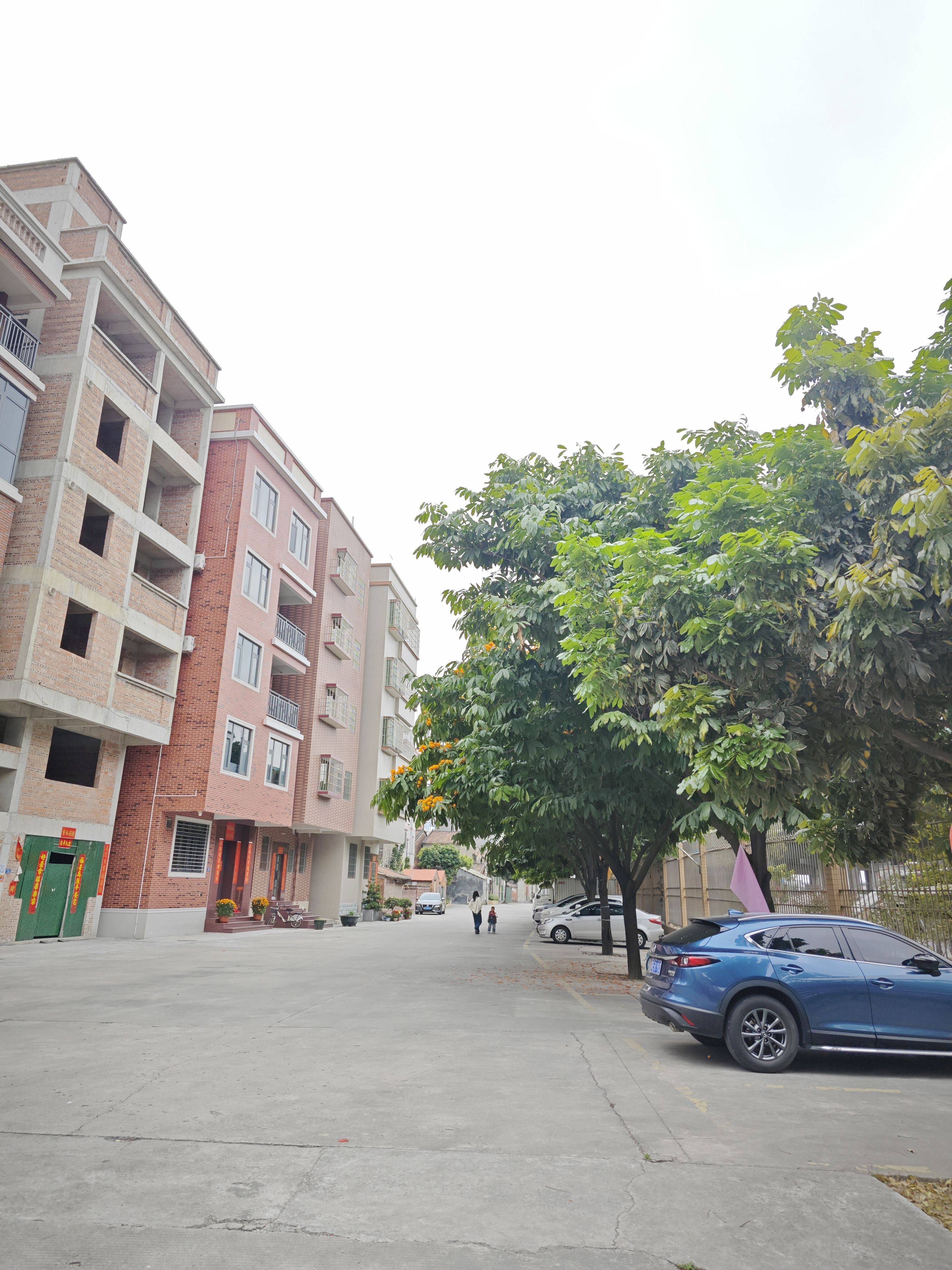 佛山禅城南庄新房直租整租房源2