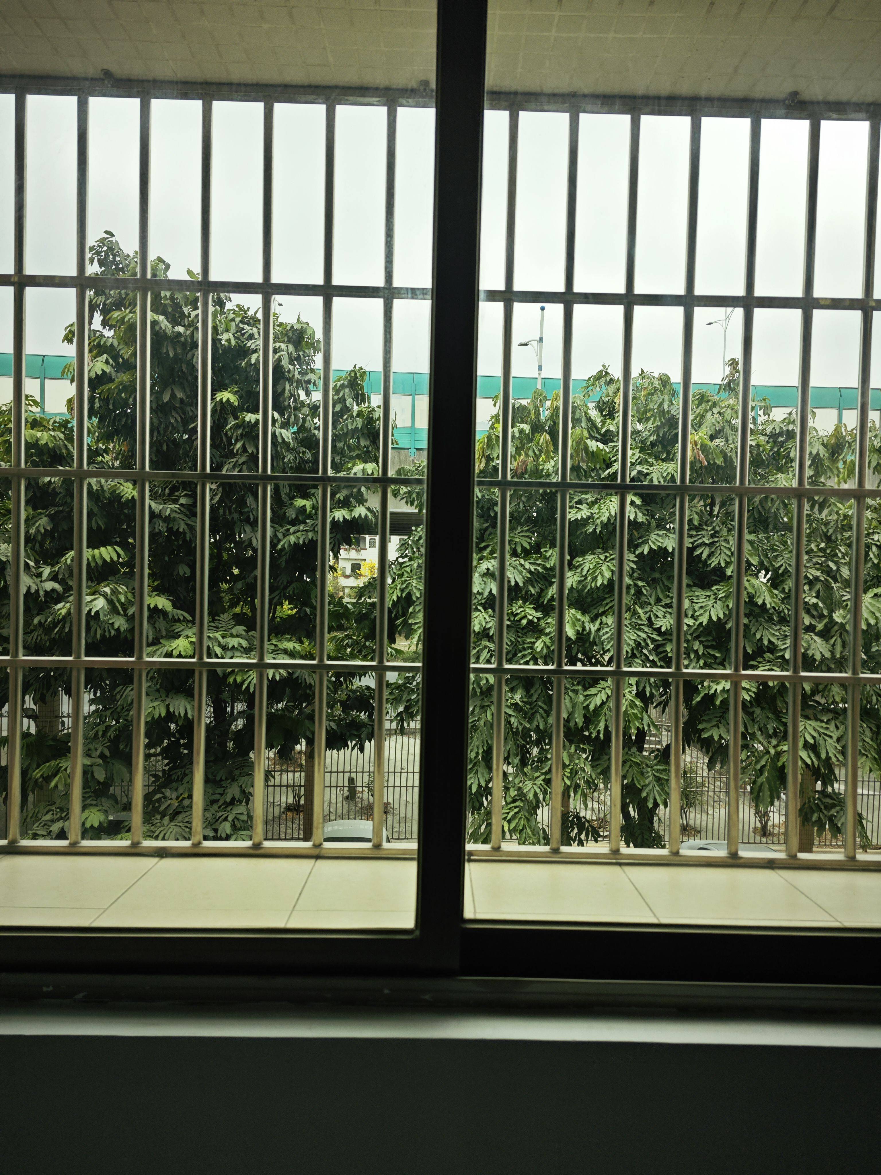 佛山 禅城 | 南庄镇东星村民小组_8