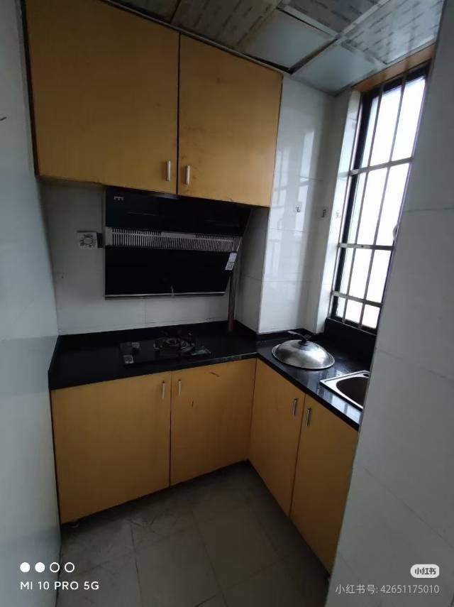 Changsha Yuelu | 前程丽景_3