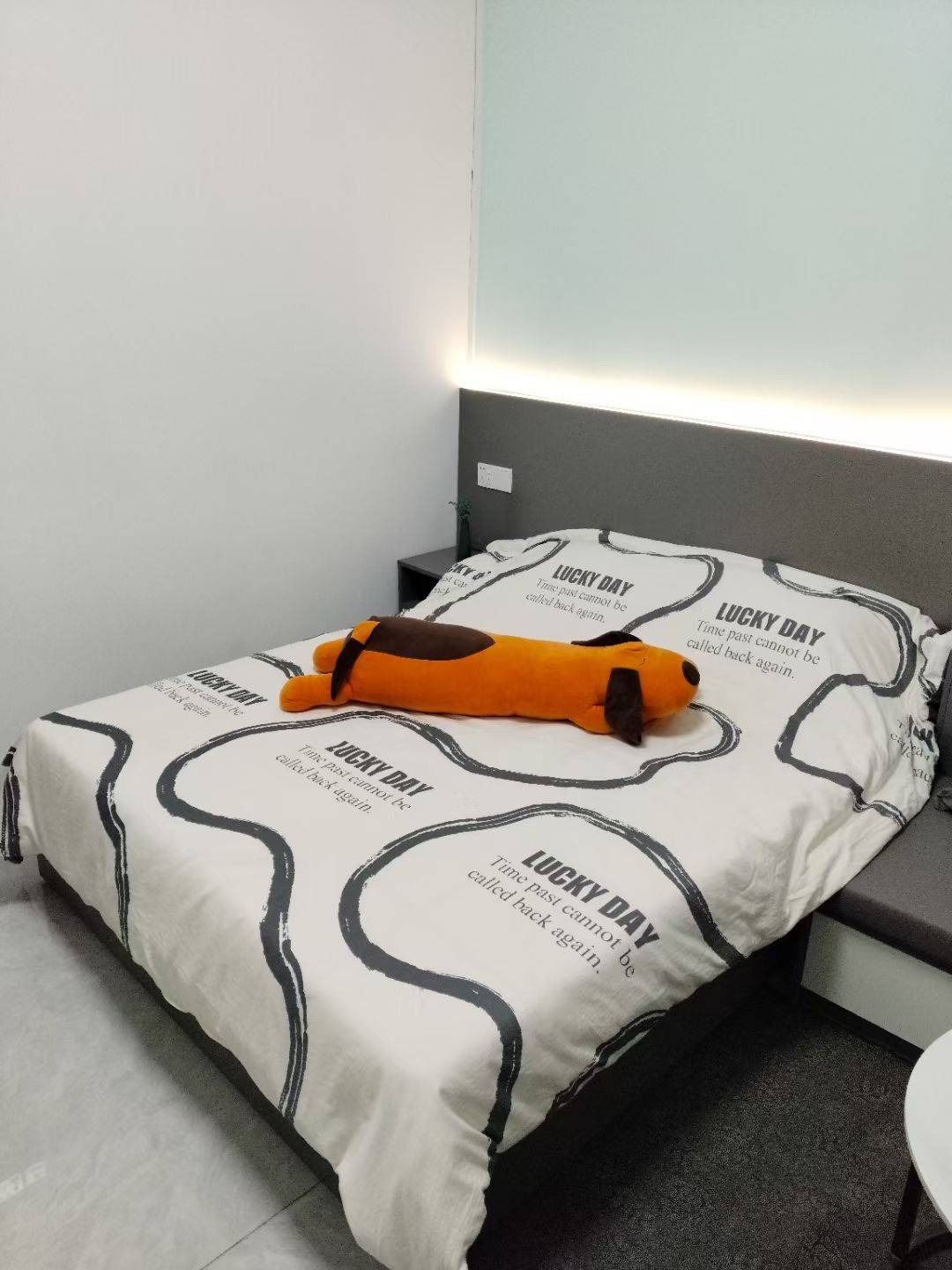 温馨小窝-干净治愈-不限性别-市井烟火气-宠物友好