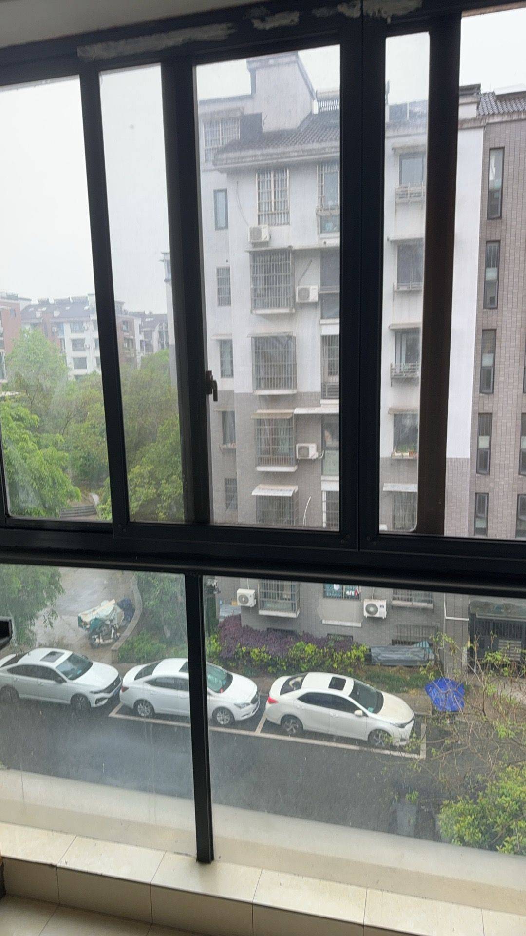 camellia整租房源2