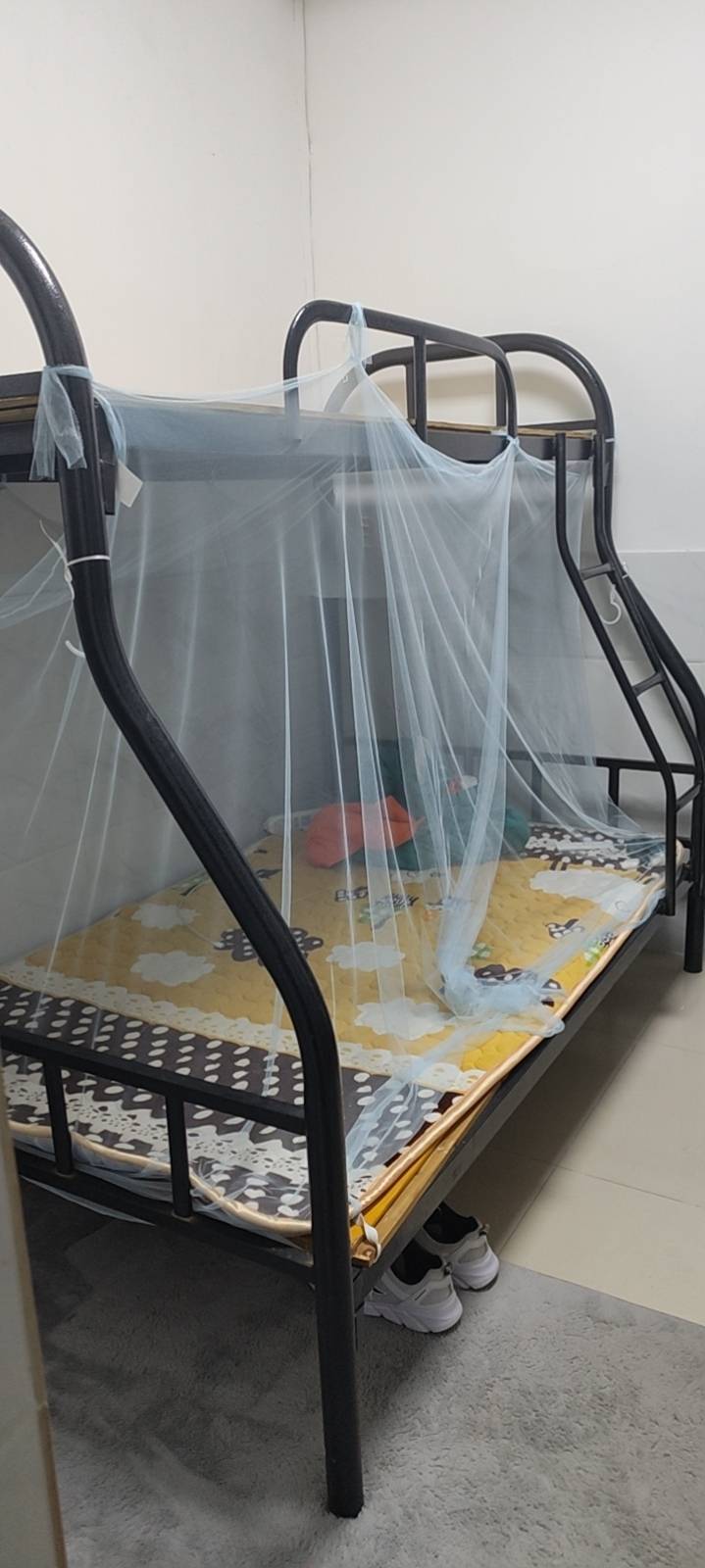 啦啦整租房源2