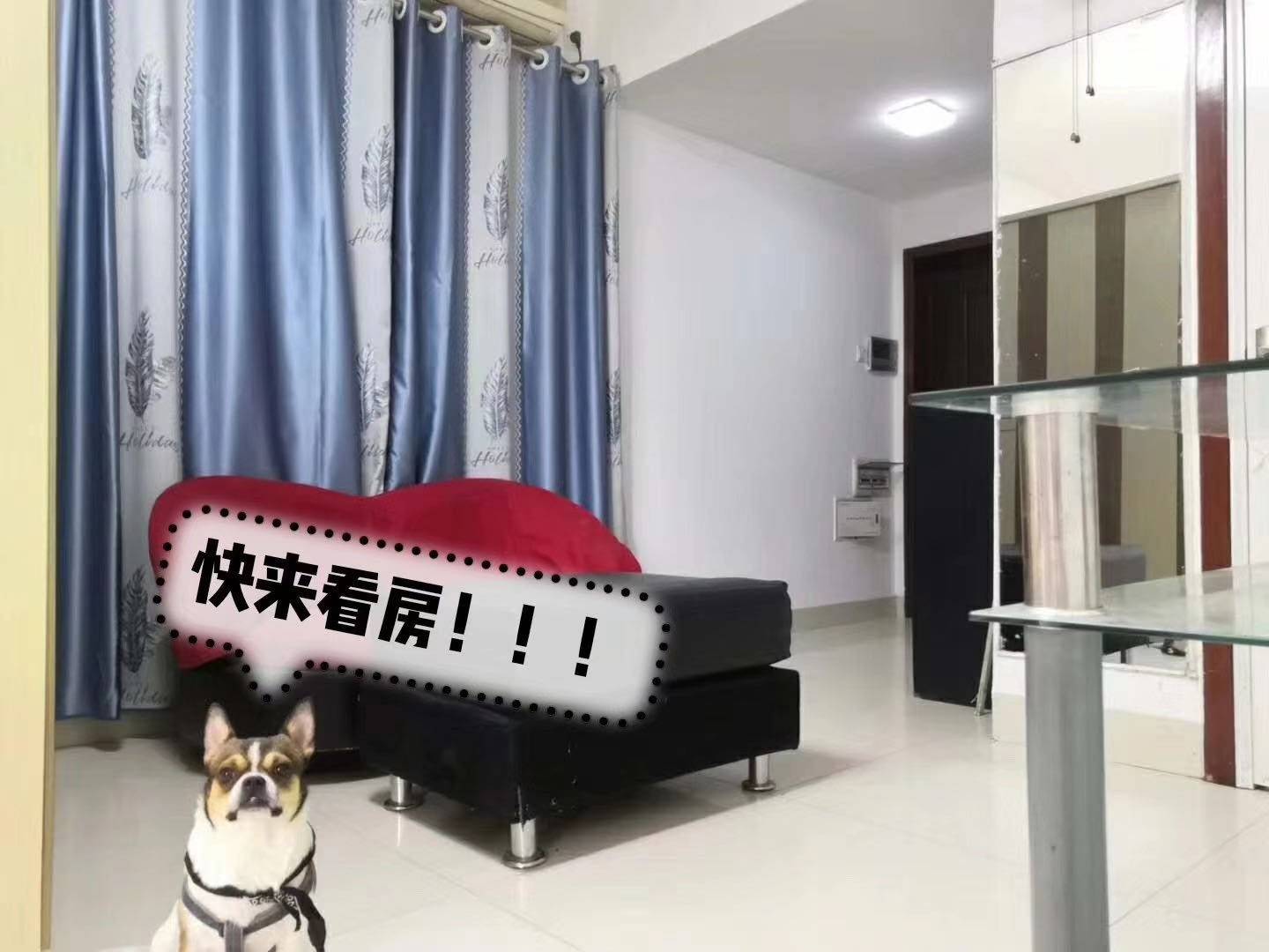 南宁 兴宁区 | 盛世·联邦广场-2号楼_5