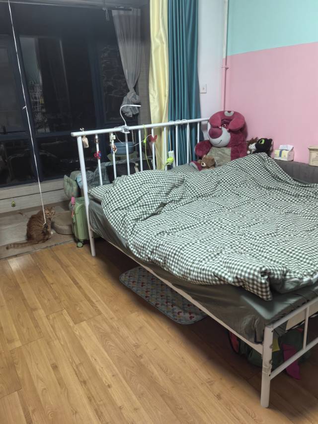 🚶整租房源1