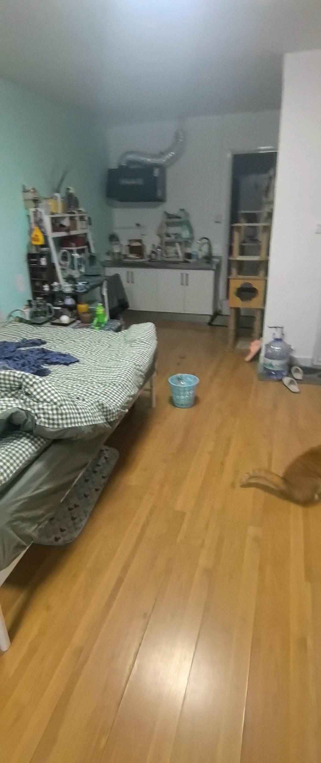 🚶整租房源2