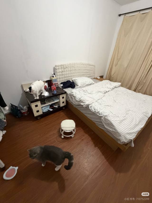 游客整租房源2