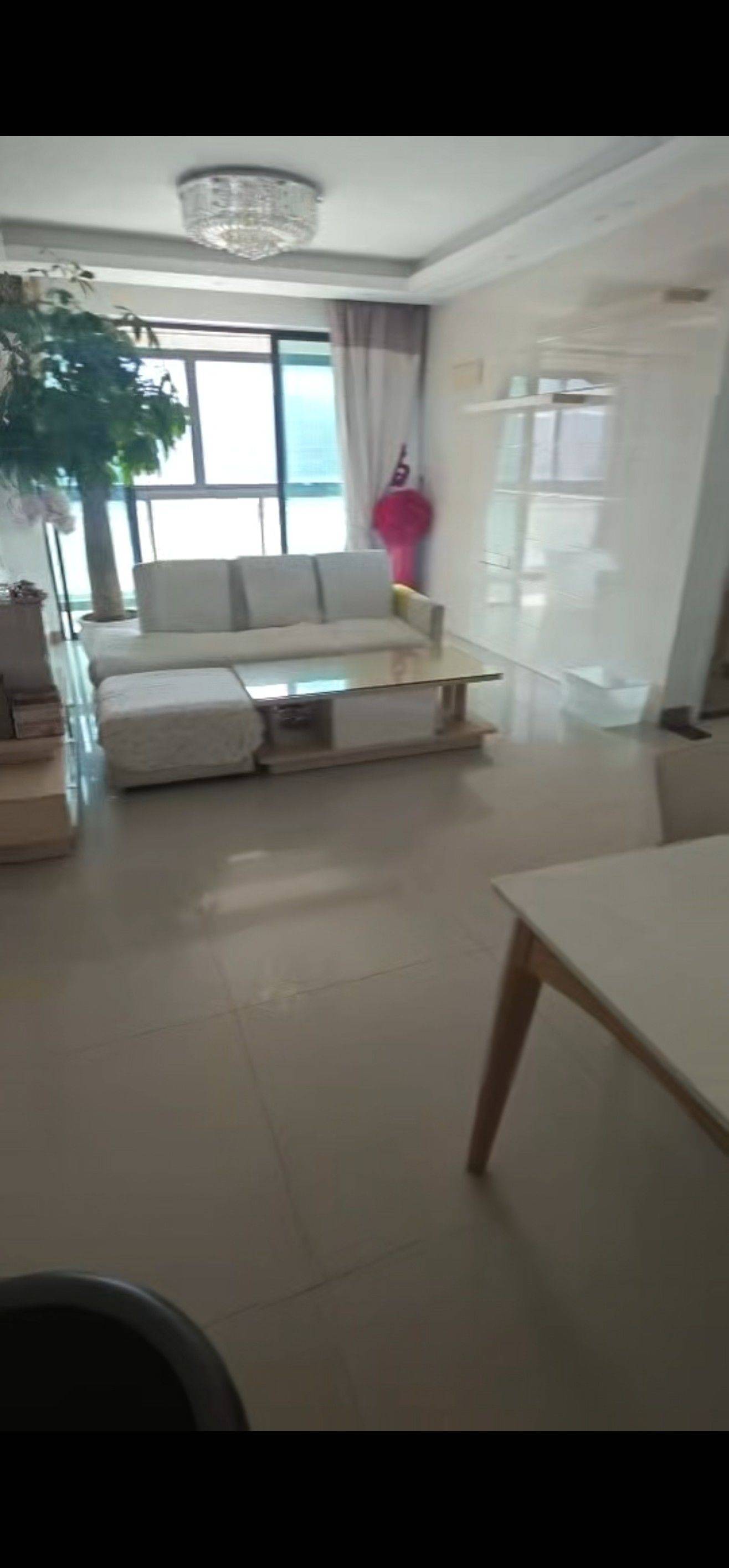 舒适自由-宠物友好-不限性别