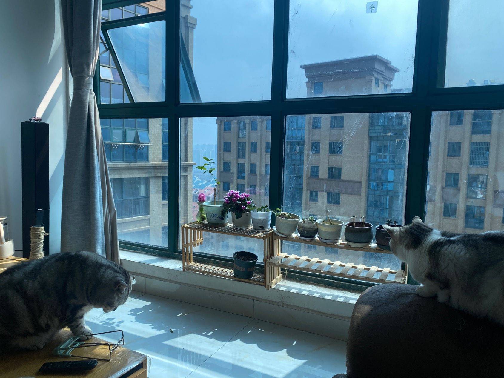 Tianxin 才子嘉都2期