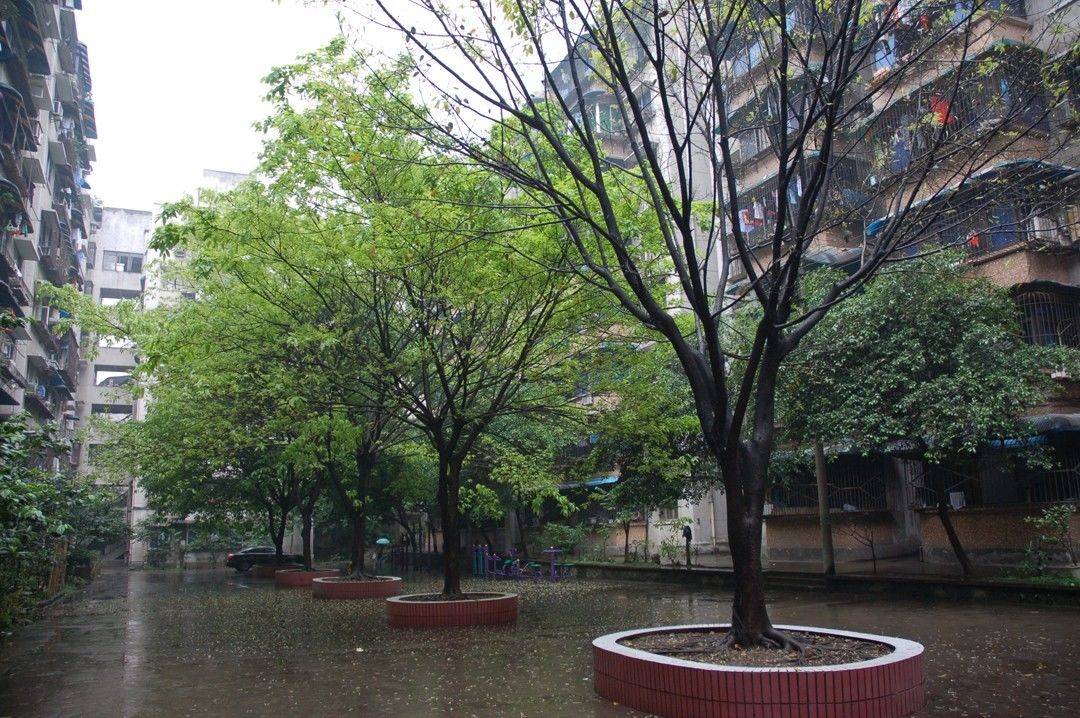 Chongqing Yuzhong | 三建小区_6