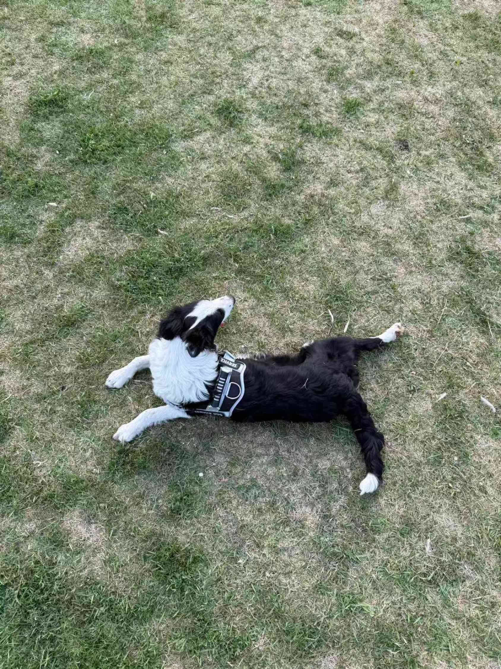 城阳 刘小新居-10号楼