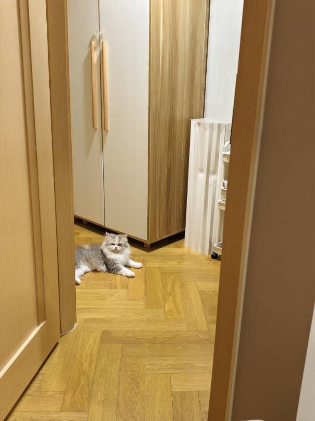 杭州 蕭山 | 英冠乐创城_4