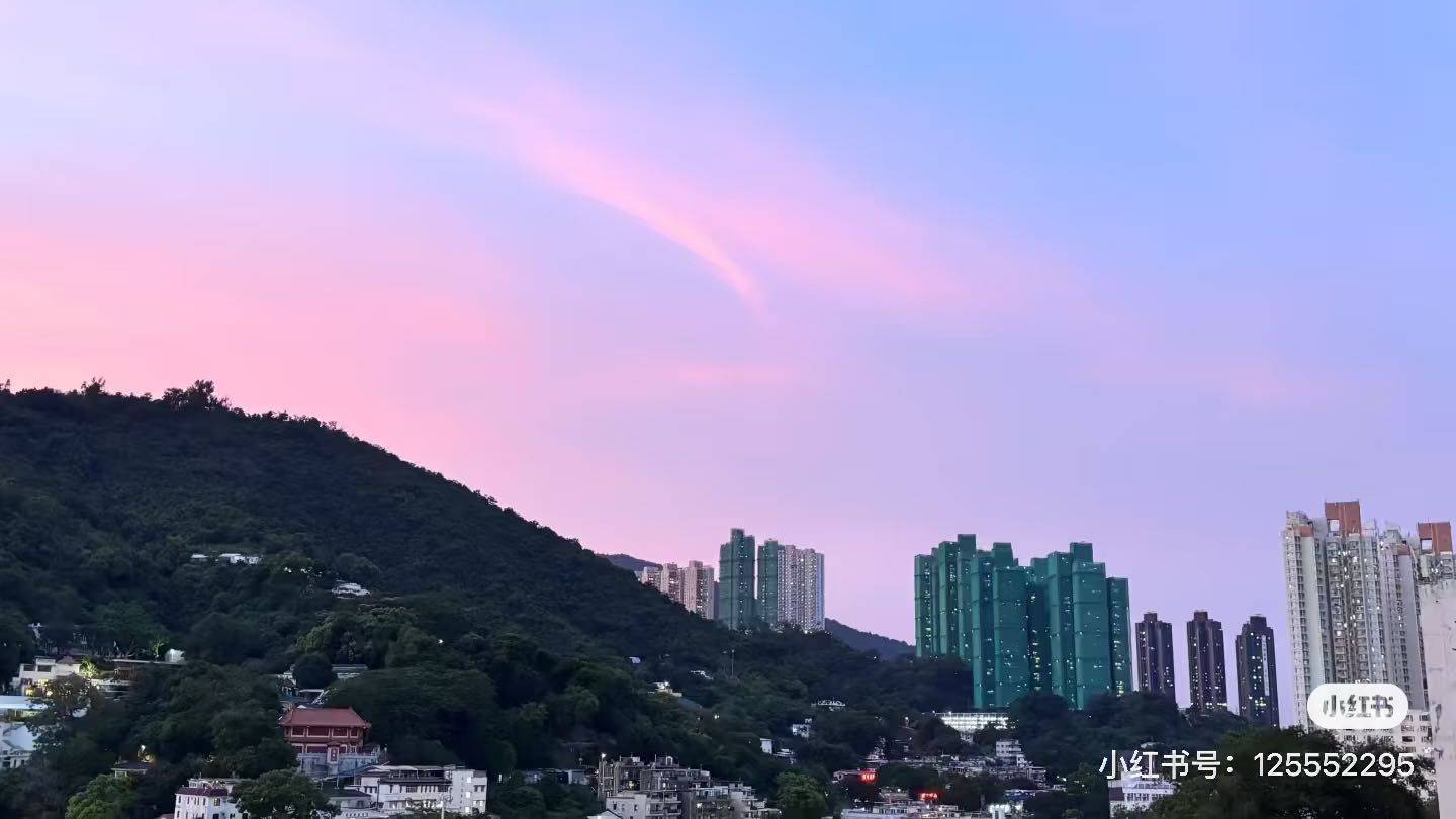 香港 香港岛  | 宝星阁 TREASURY TOWER_3