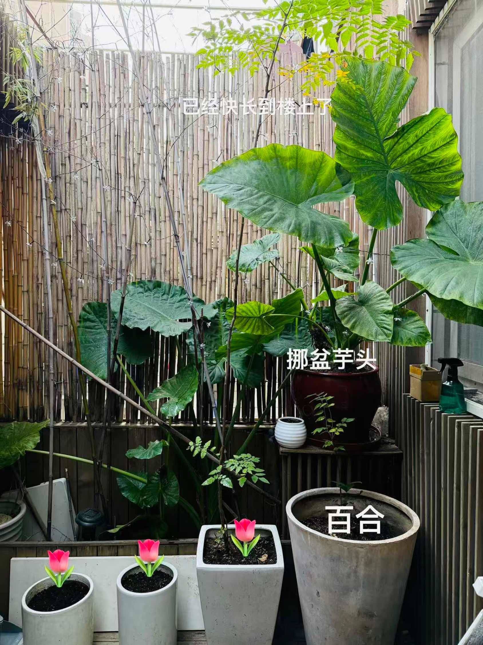 长宁 昭化东路77弄-3号楼