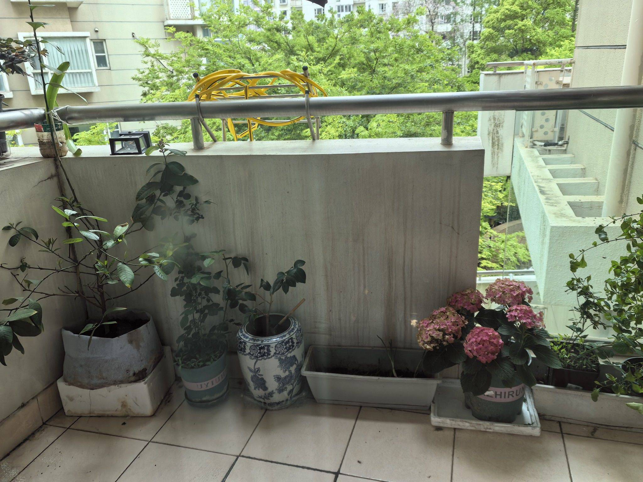 Cozy Home-Clean&Comfy-No Gender Limit-Hustle & Bustle-“Friends”-Chilled