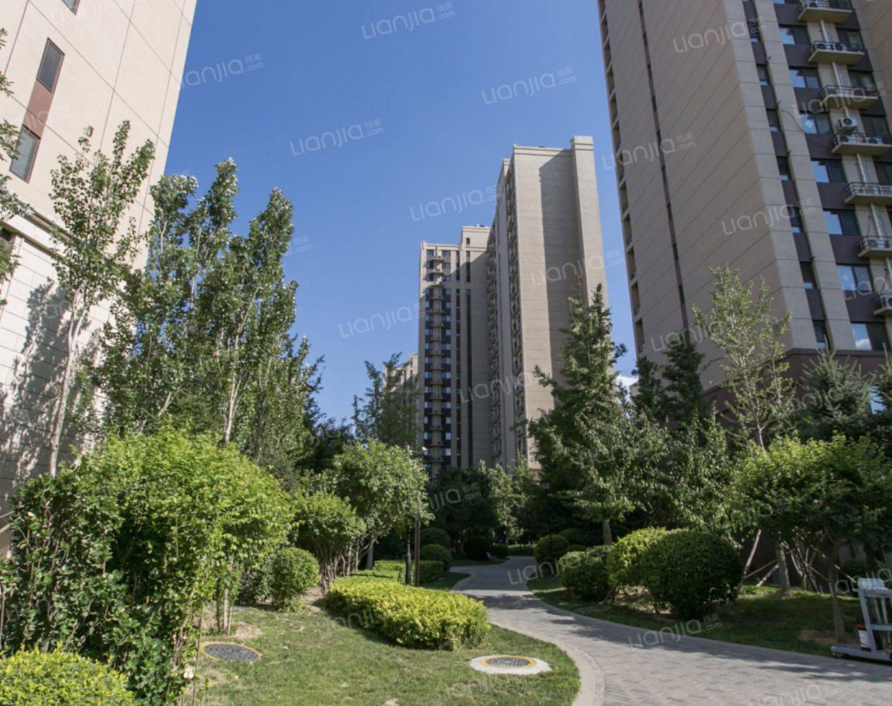 Beijing Daxing | 花语府_6
