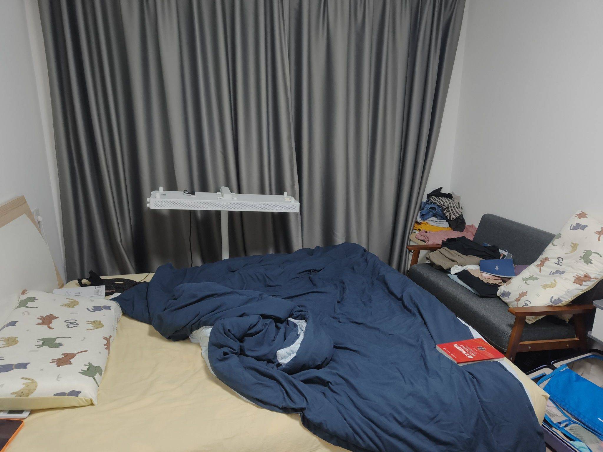 甜酱少糖版整租房源1